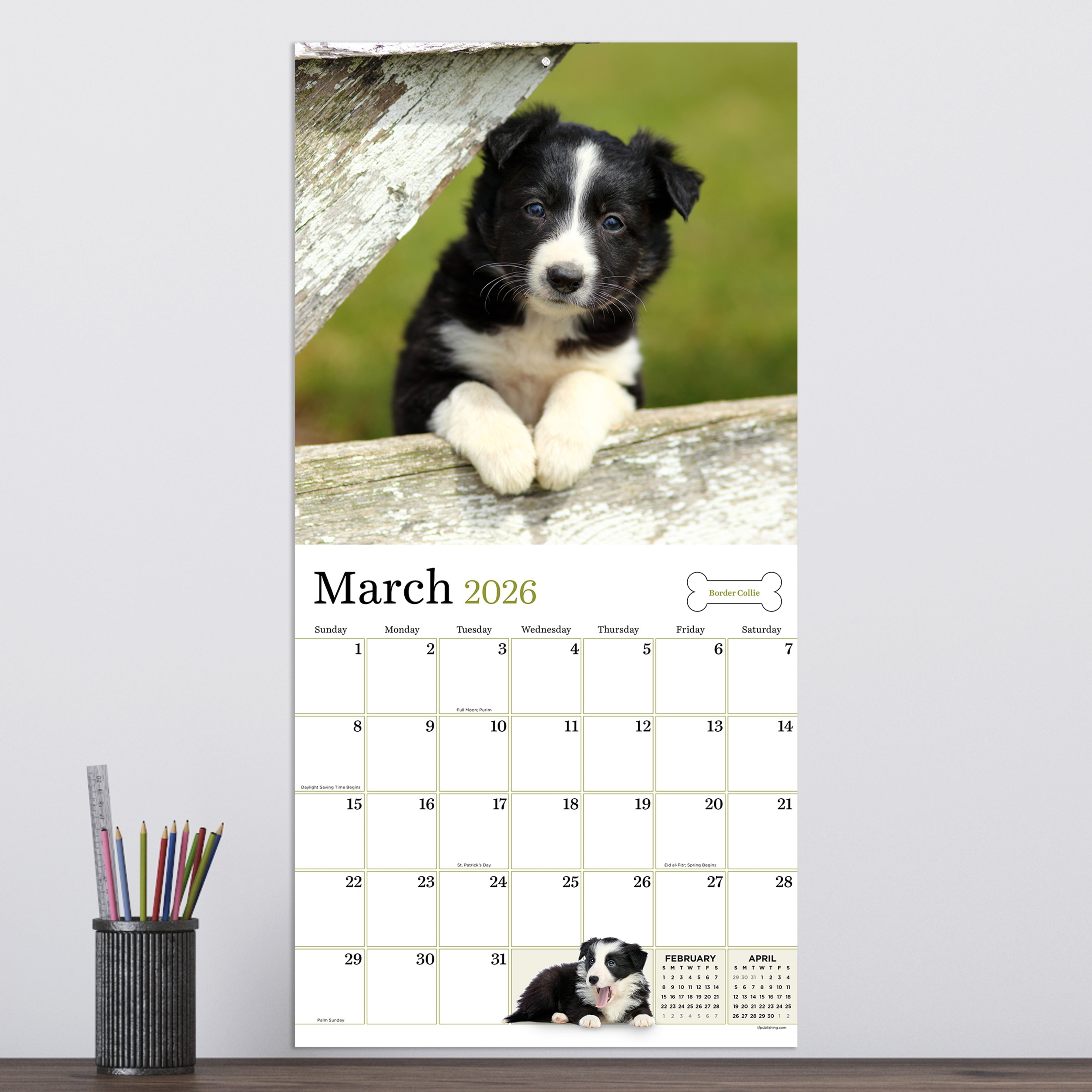 2026 Puppies - Square Wall Calendar