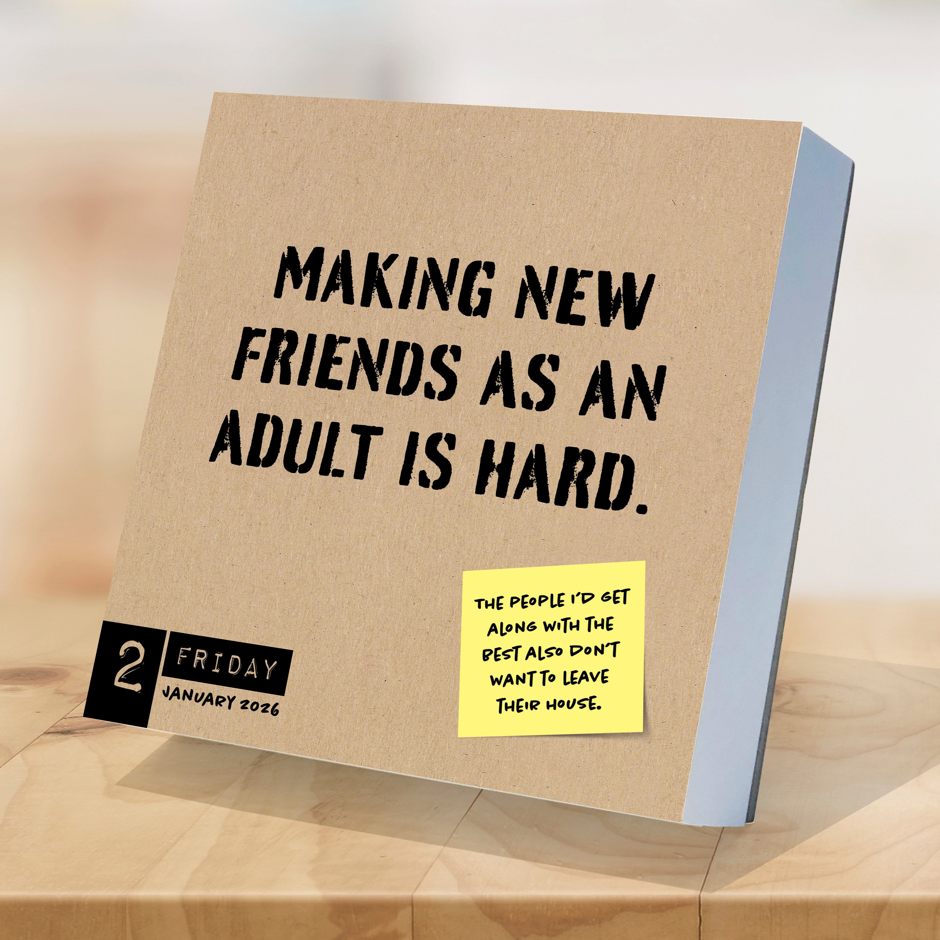 2026 Anti Affirmations/Daily Sarcasm - Daily Boxed Page-A-Day Calendar