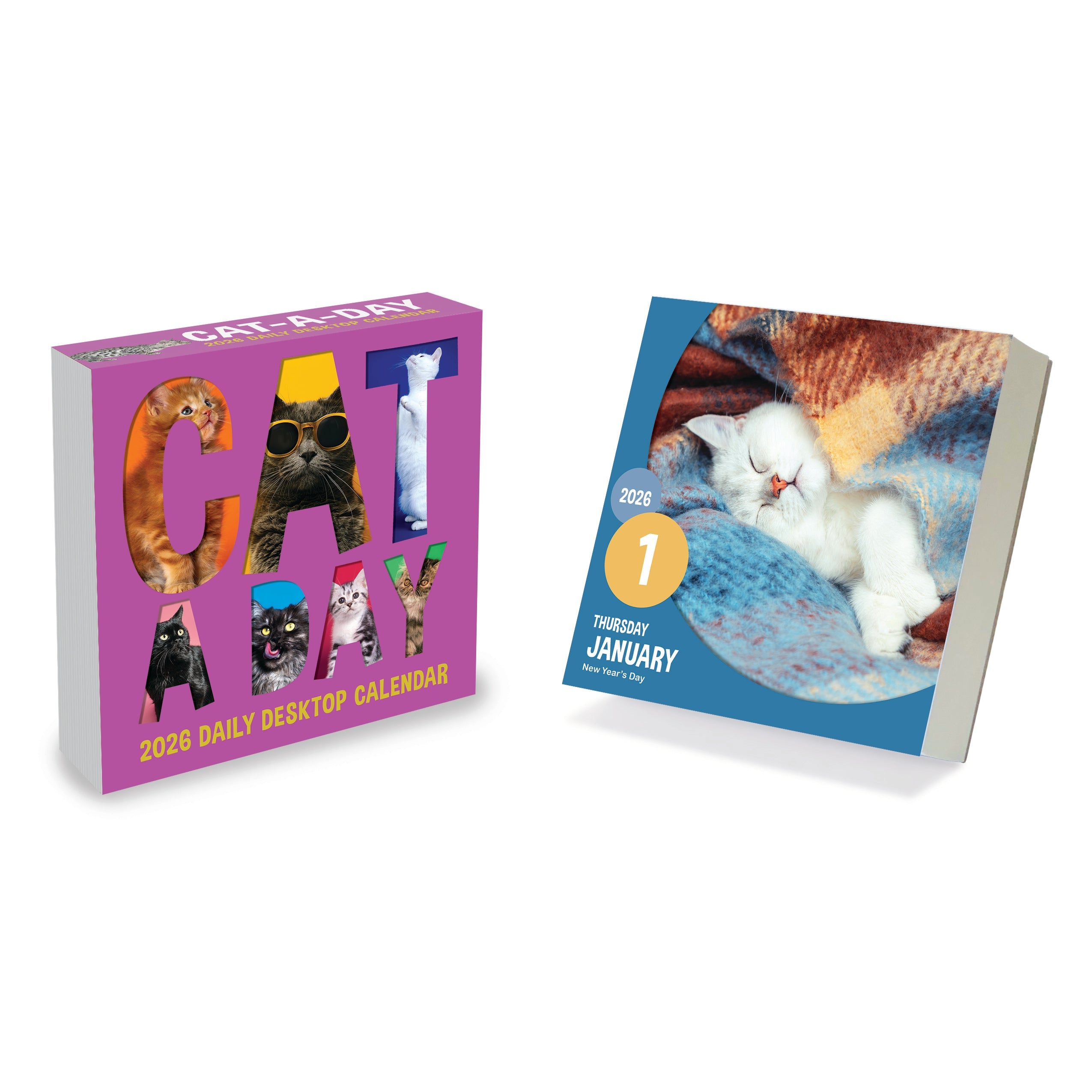 2026 Cat A Day - Daily Boxed Page-A-Day Calendar