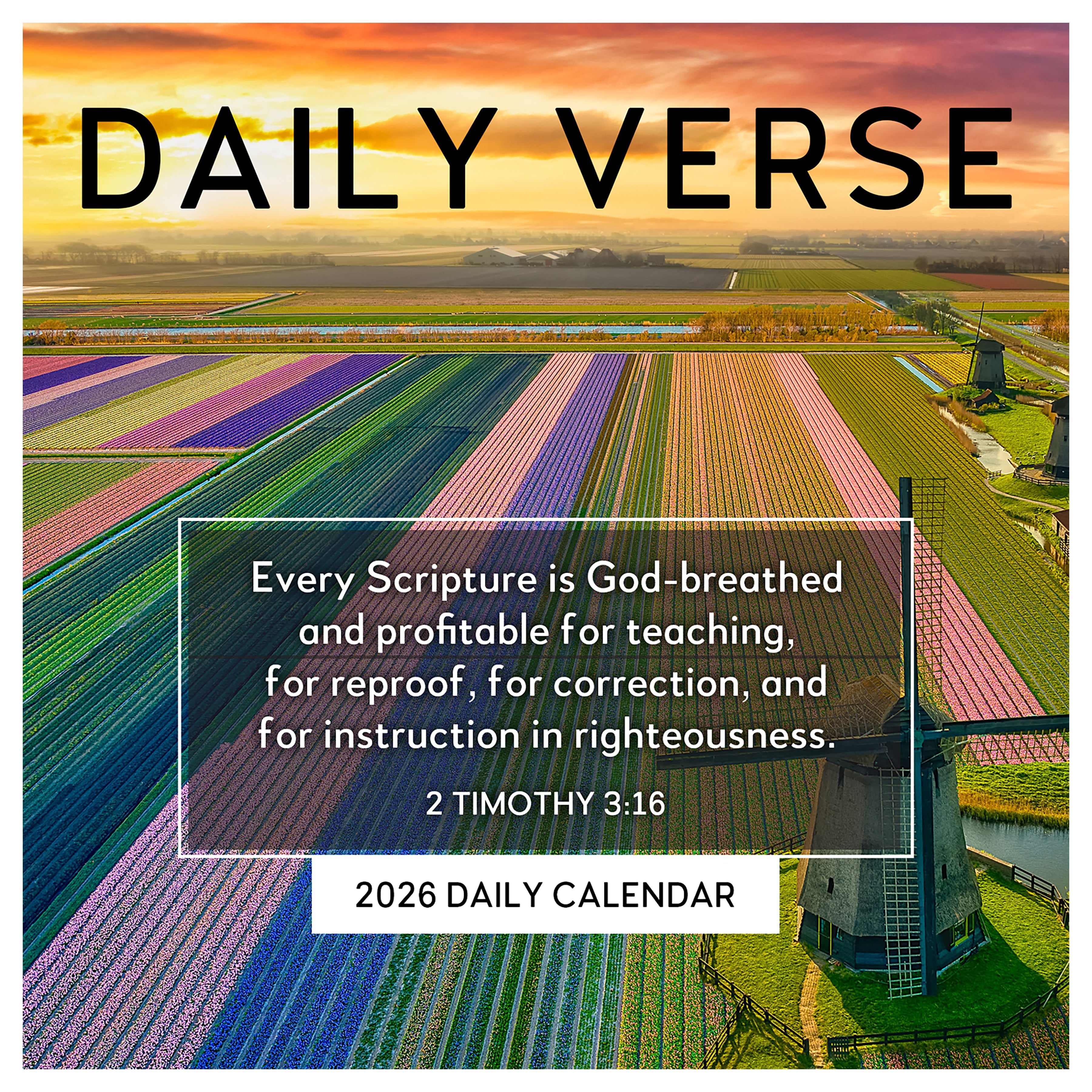 2026 Daily Verse - Daily Boxed Page-A-Day Calendar