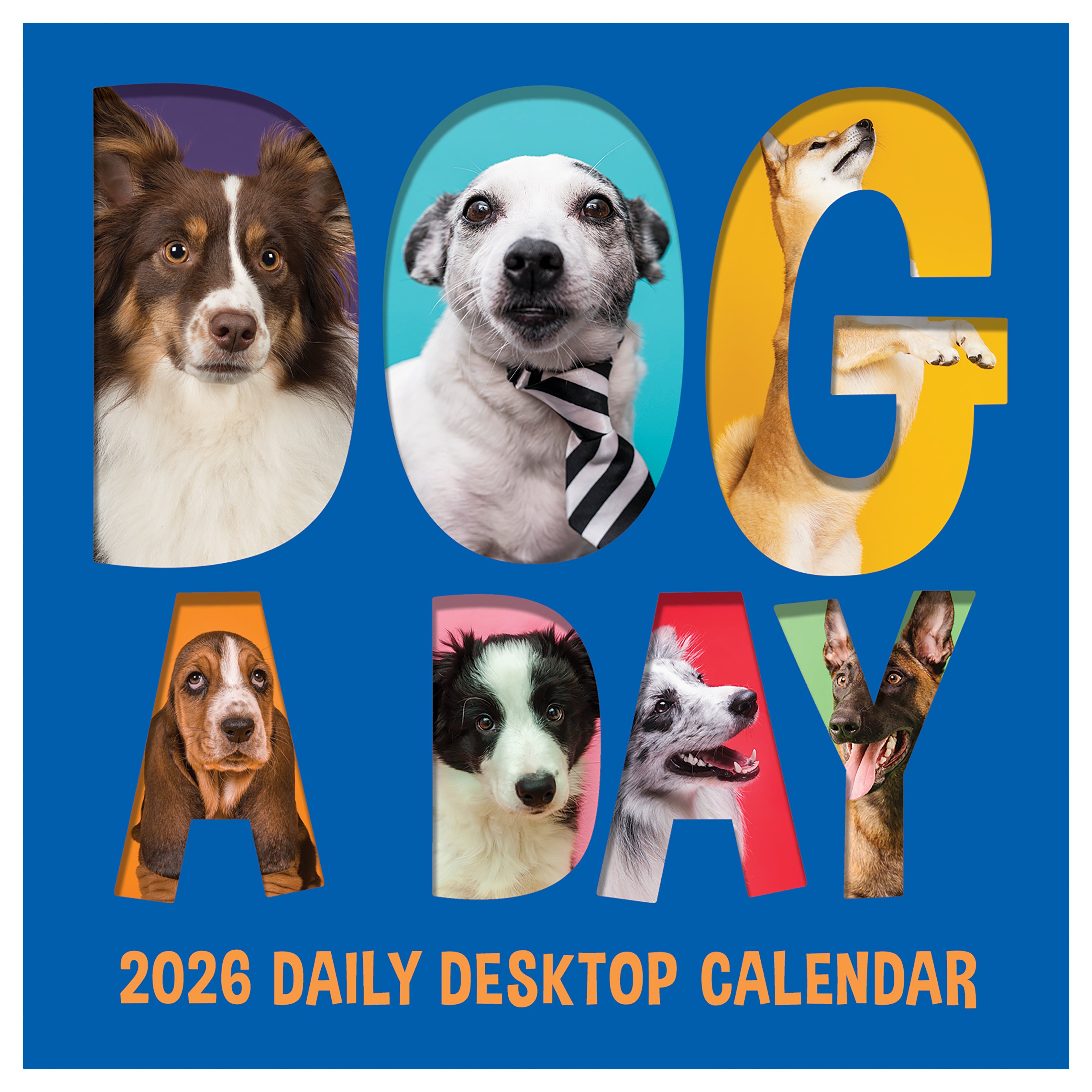 2026 Dog A Day - Daily Boxed Page-A-Day Calendar