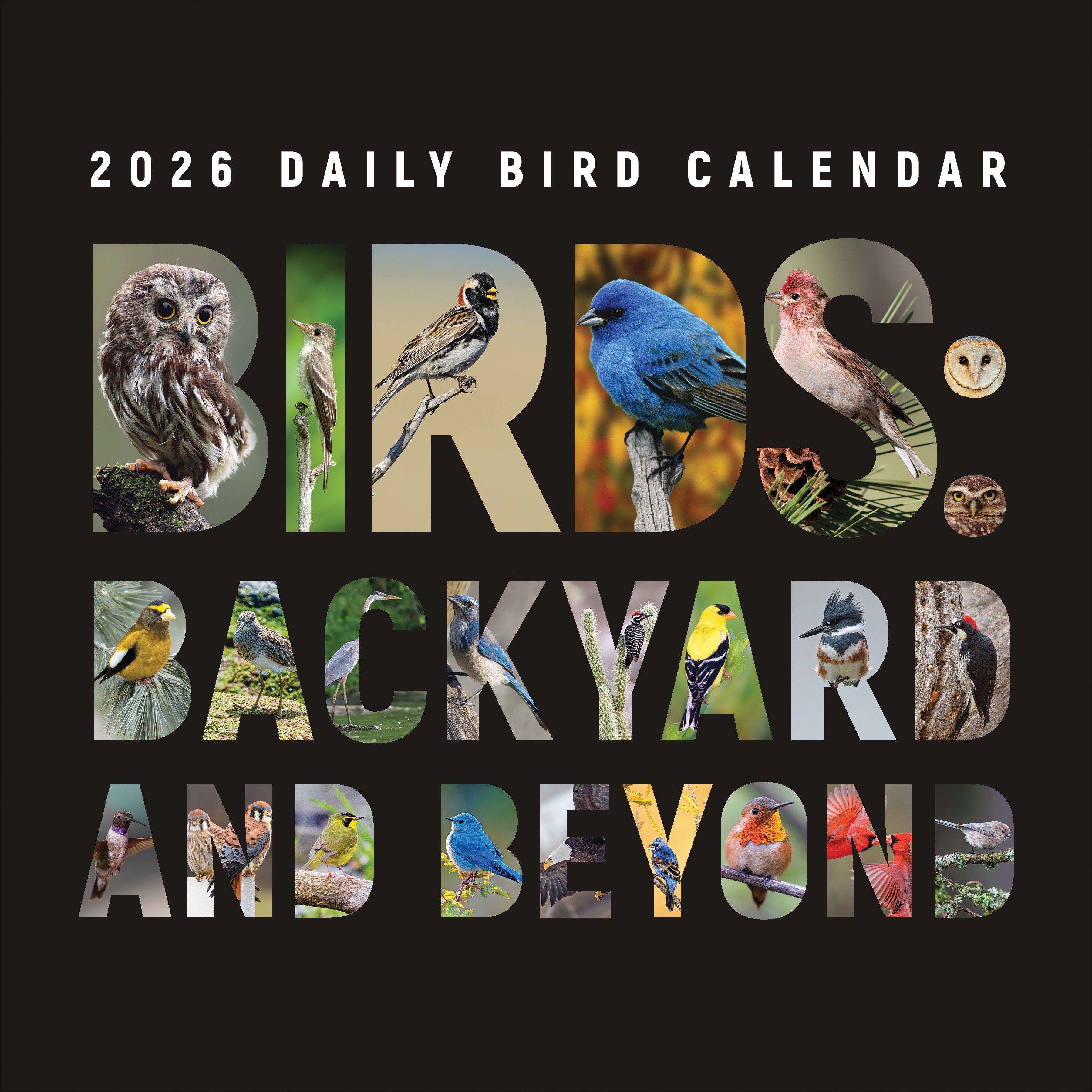 2026 Birds: Backyard and Beyond - Square Wall Calendar