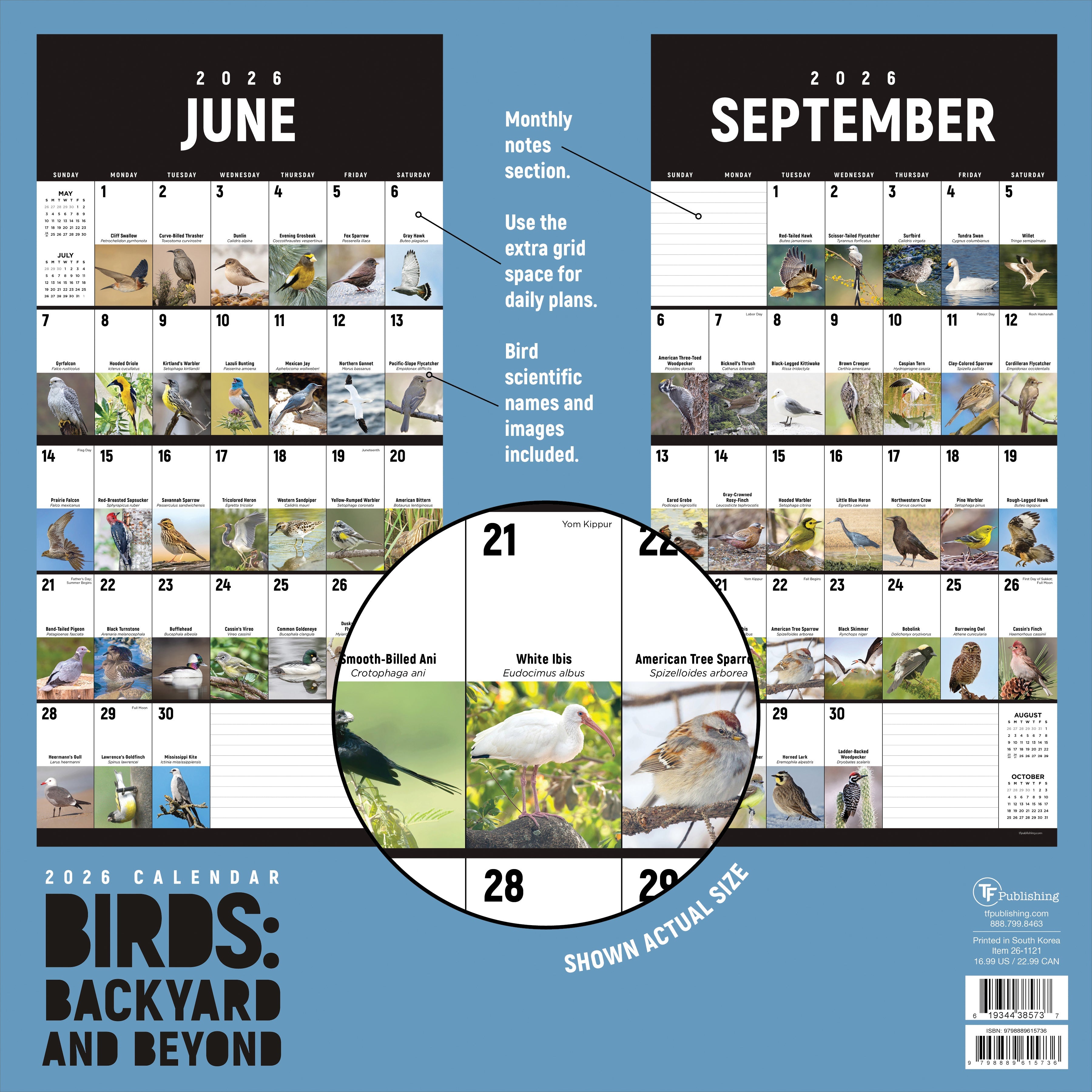 2026 Birds: Backyard and Beyond - Square Wall Calendar