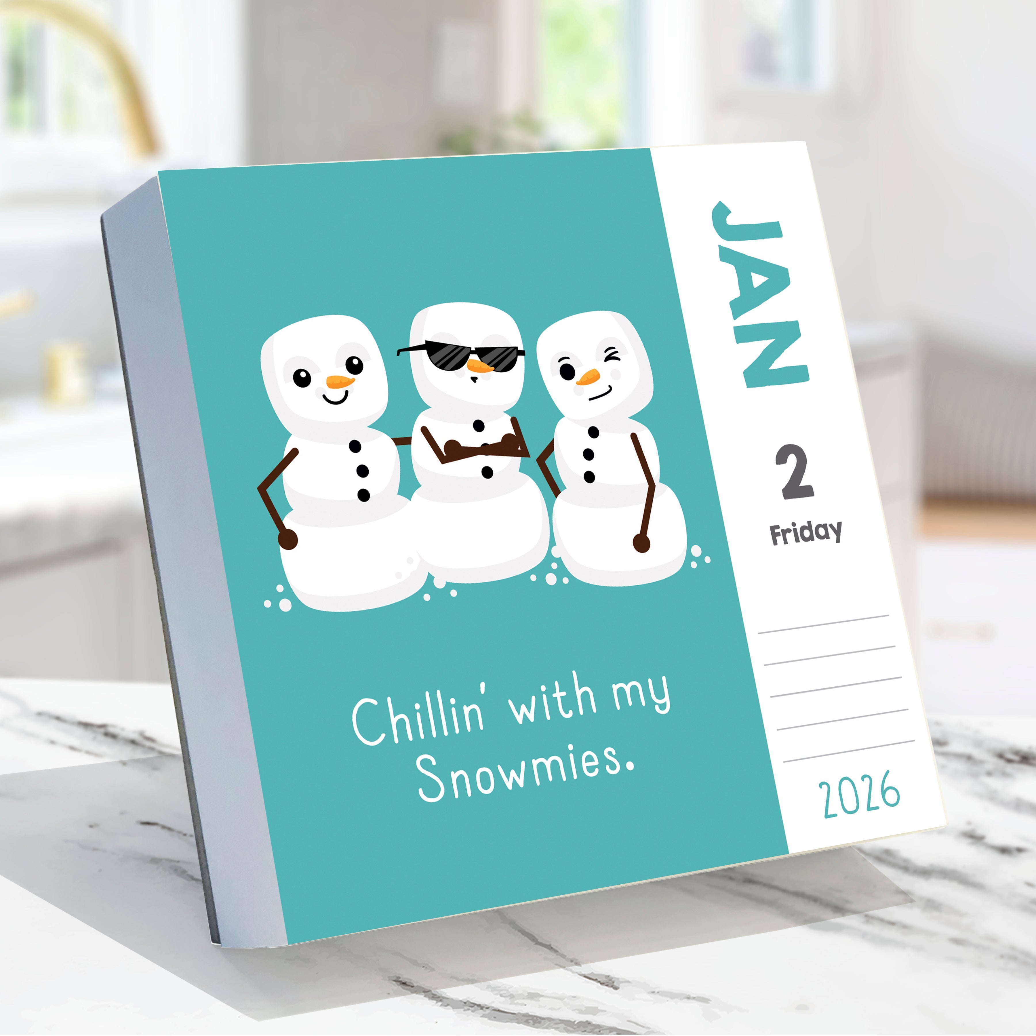 2026 Puns of Fun - Daily Boxed Page-A-Day Calendar