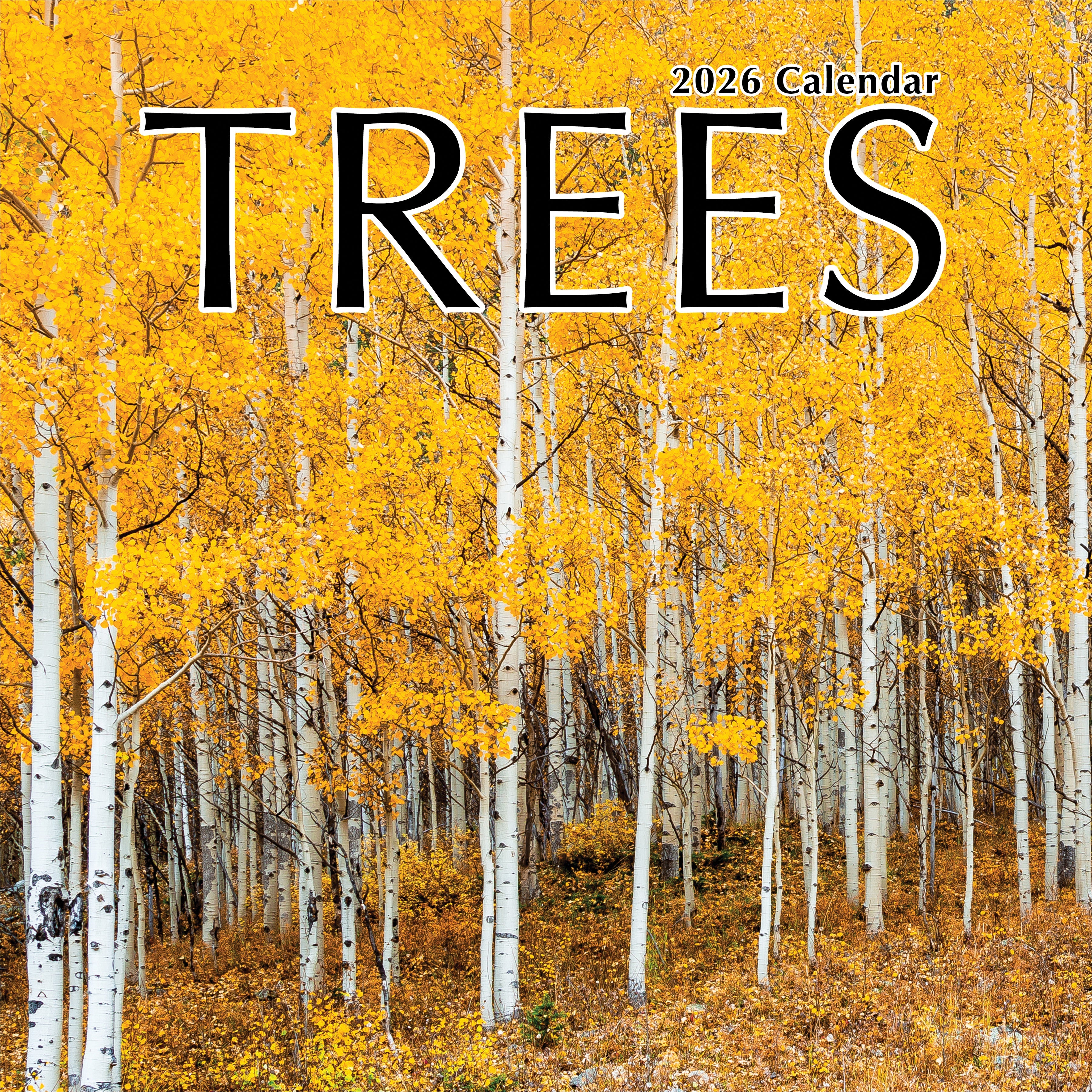 2026 Trees - Square Wall Calendar