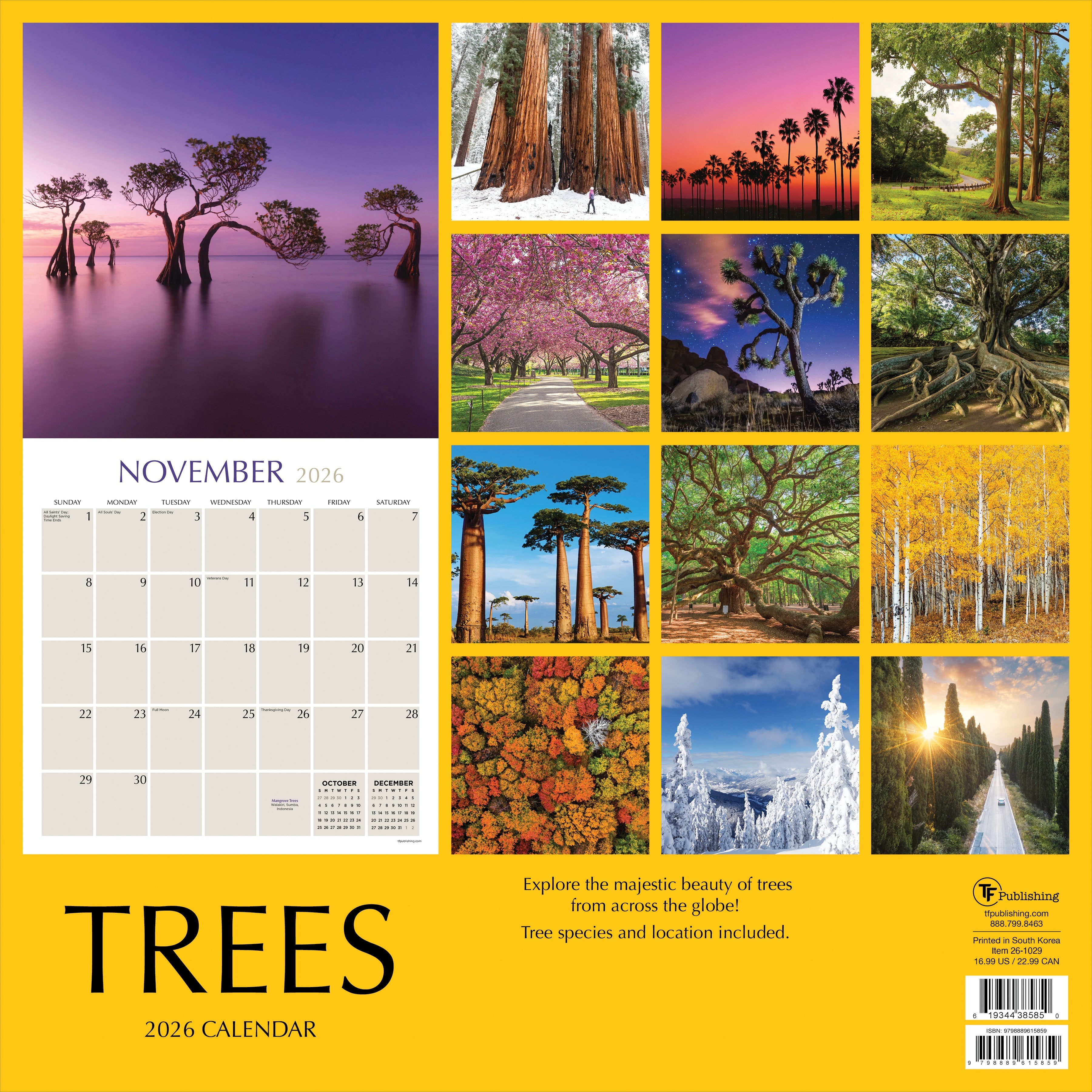 2026 Trees - Square Wall Calendar