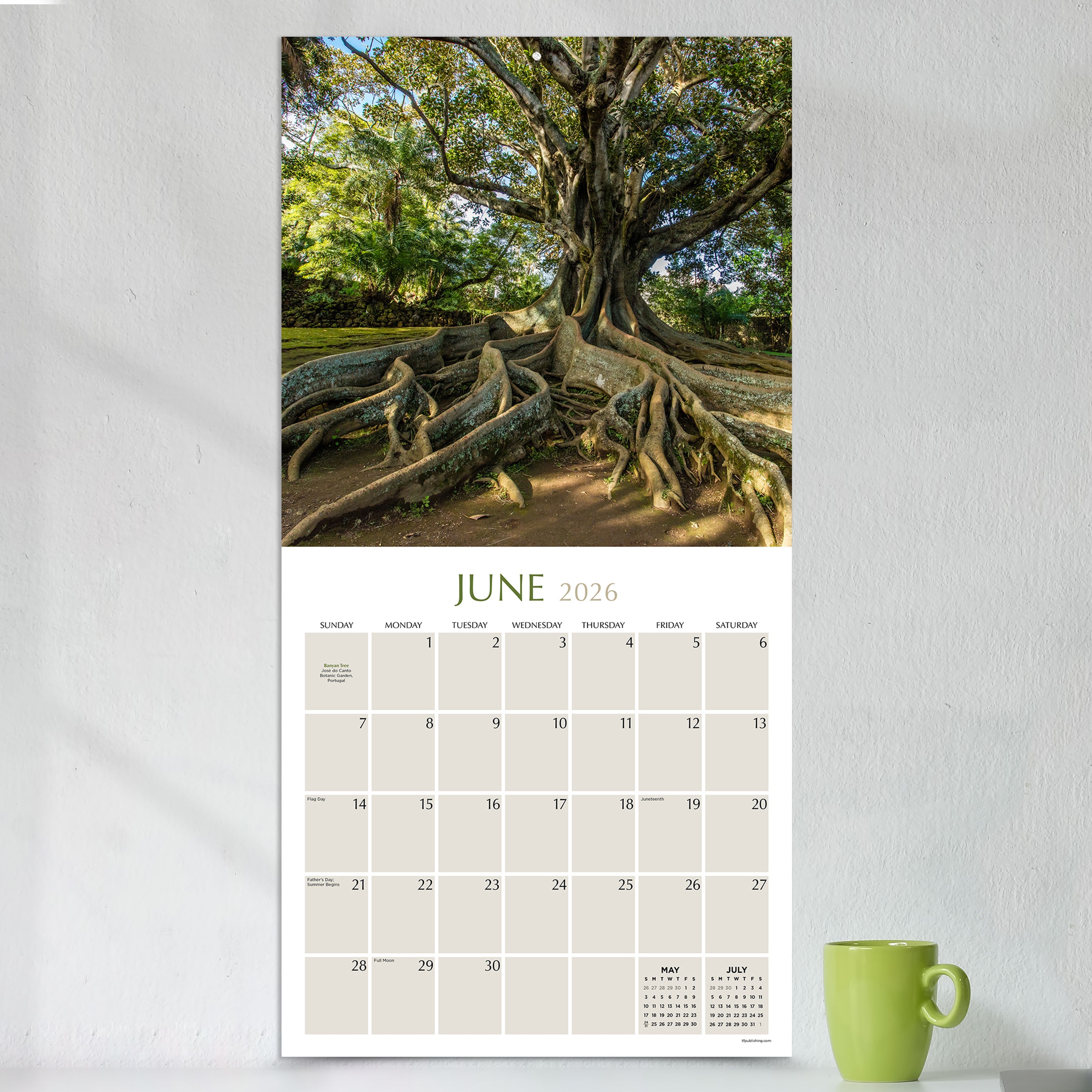 2026 Trees - Square Wall Calendar