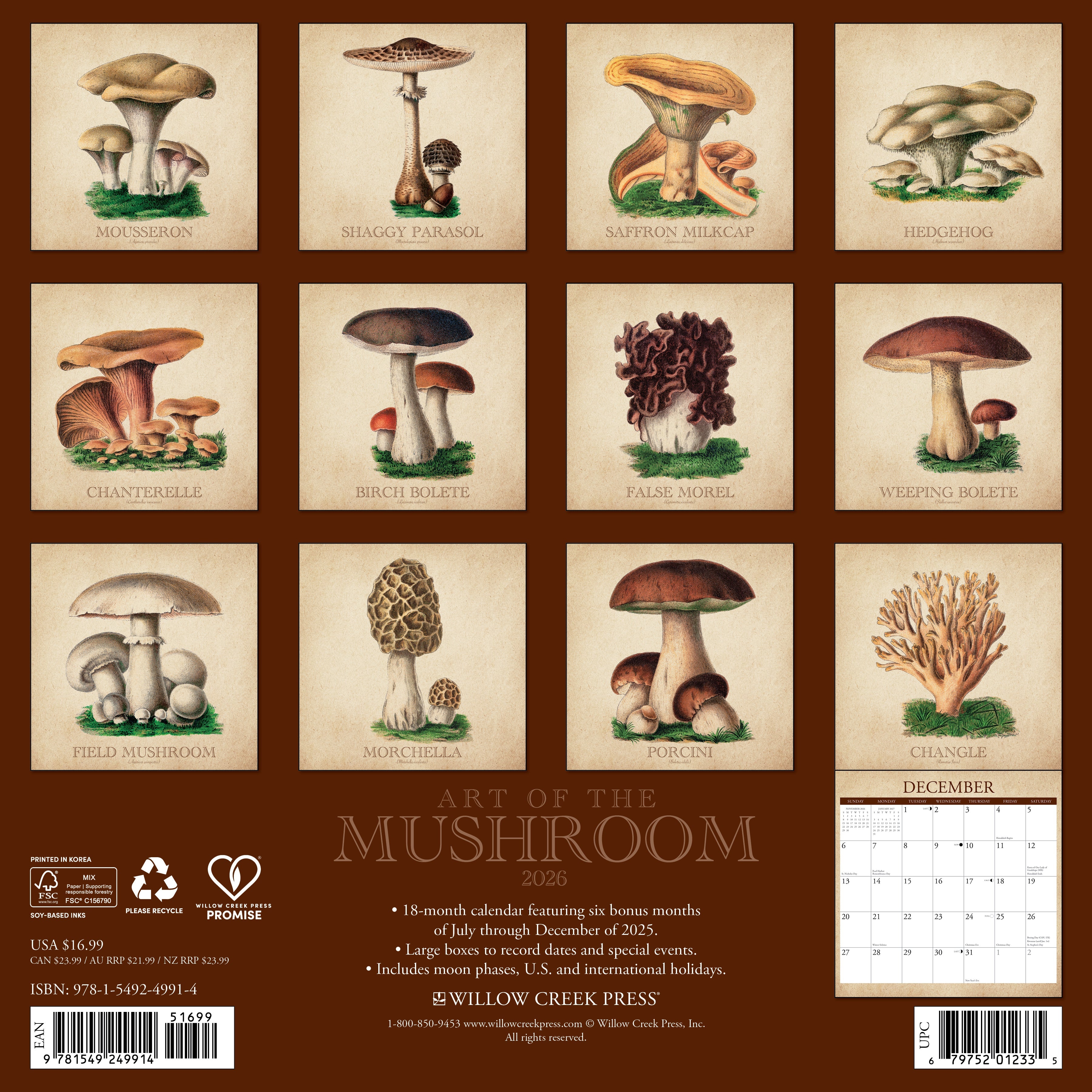 2026 Art of the Mushroom - Square Wall