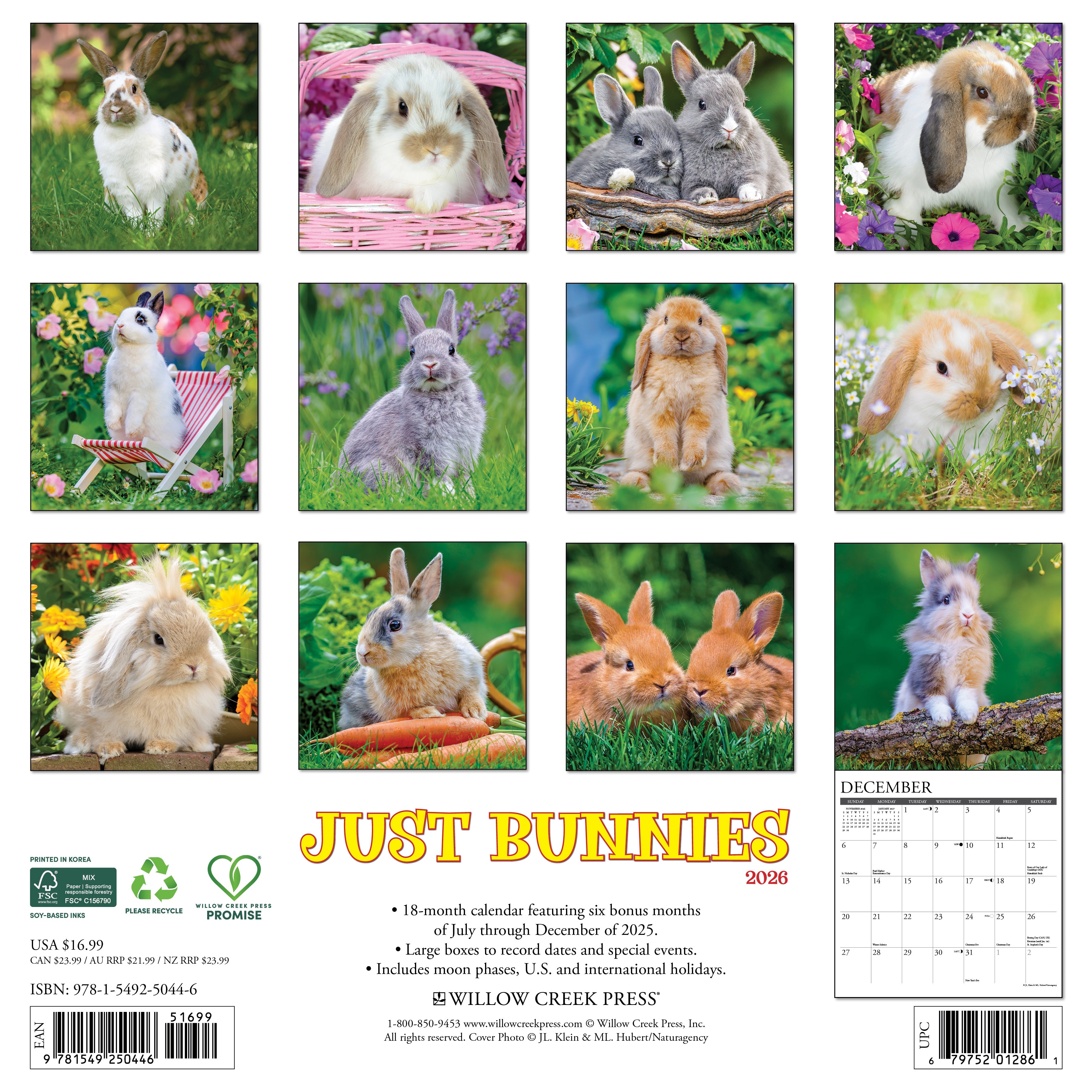 2026 Bunnies - Square Wall