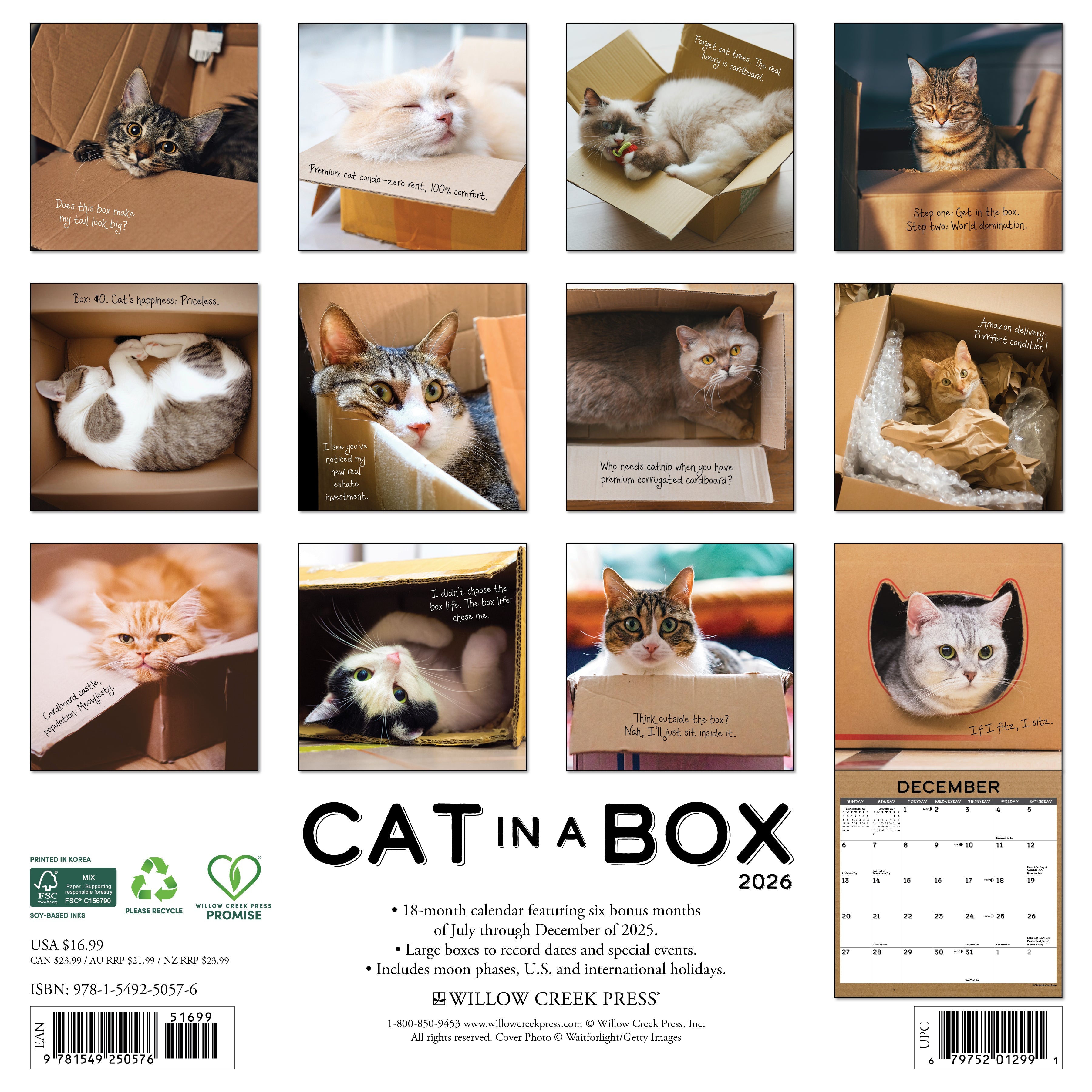 2026 Cat in a Box - Square Wall