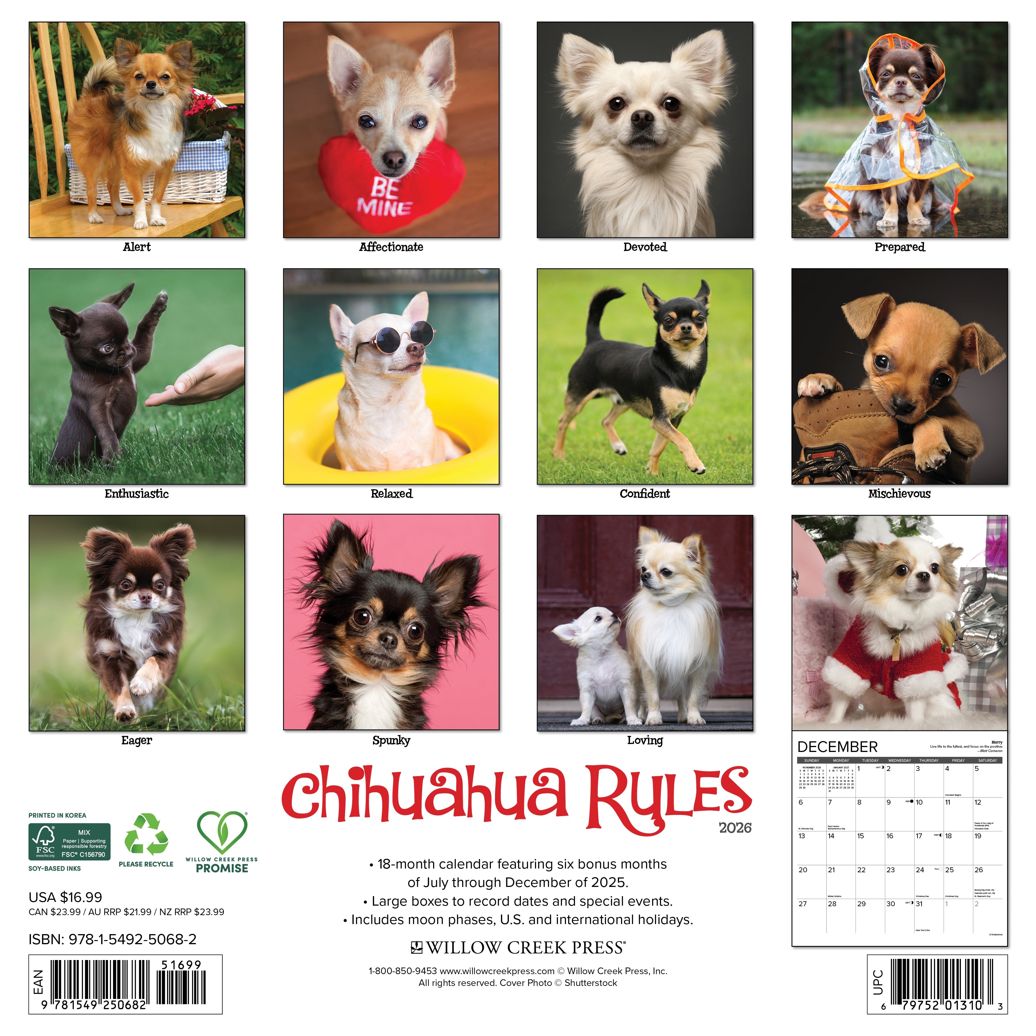 2026 Chihuahua Rules - Square Wall