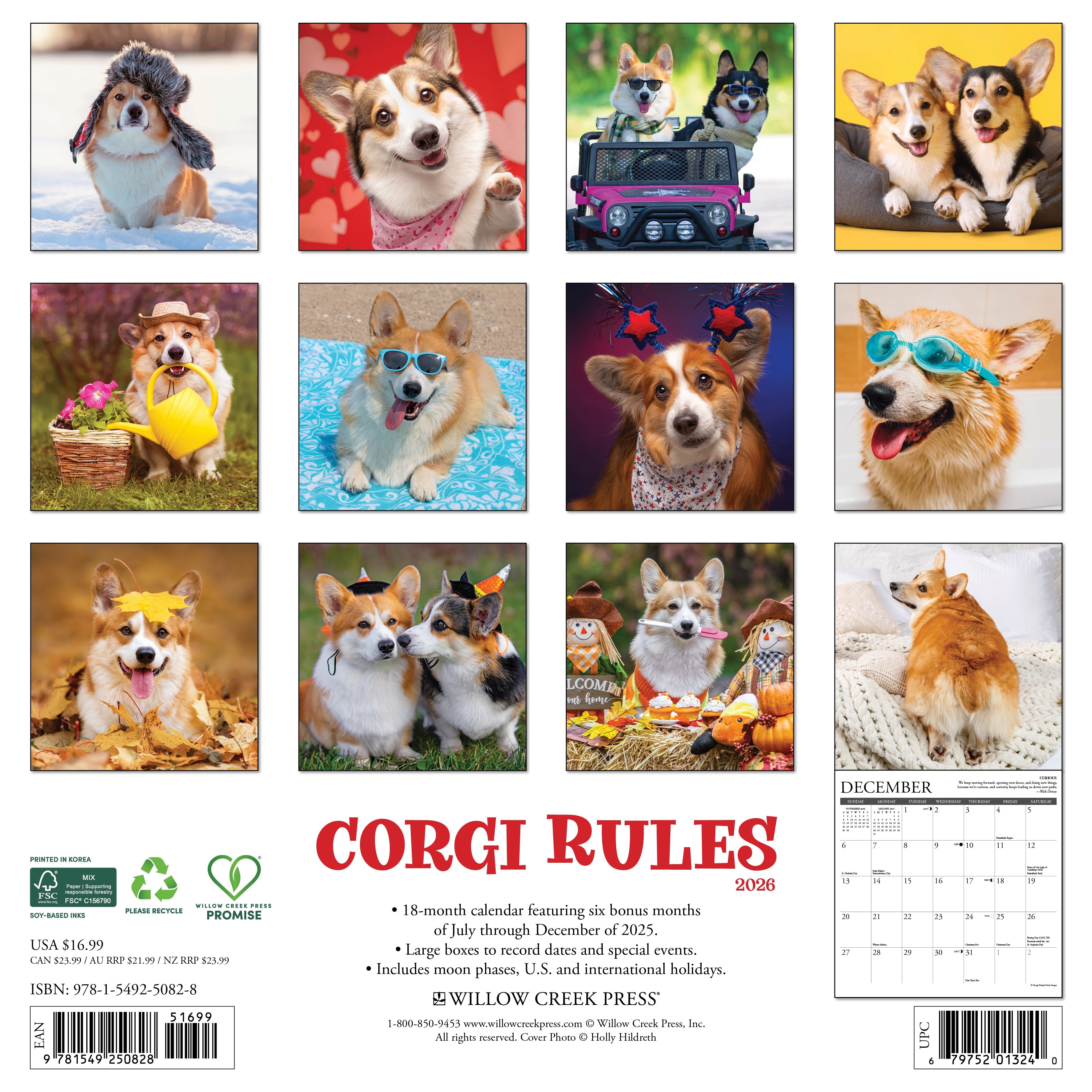2026 Corgi Rules - Square Wall