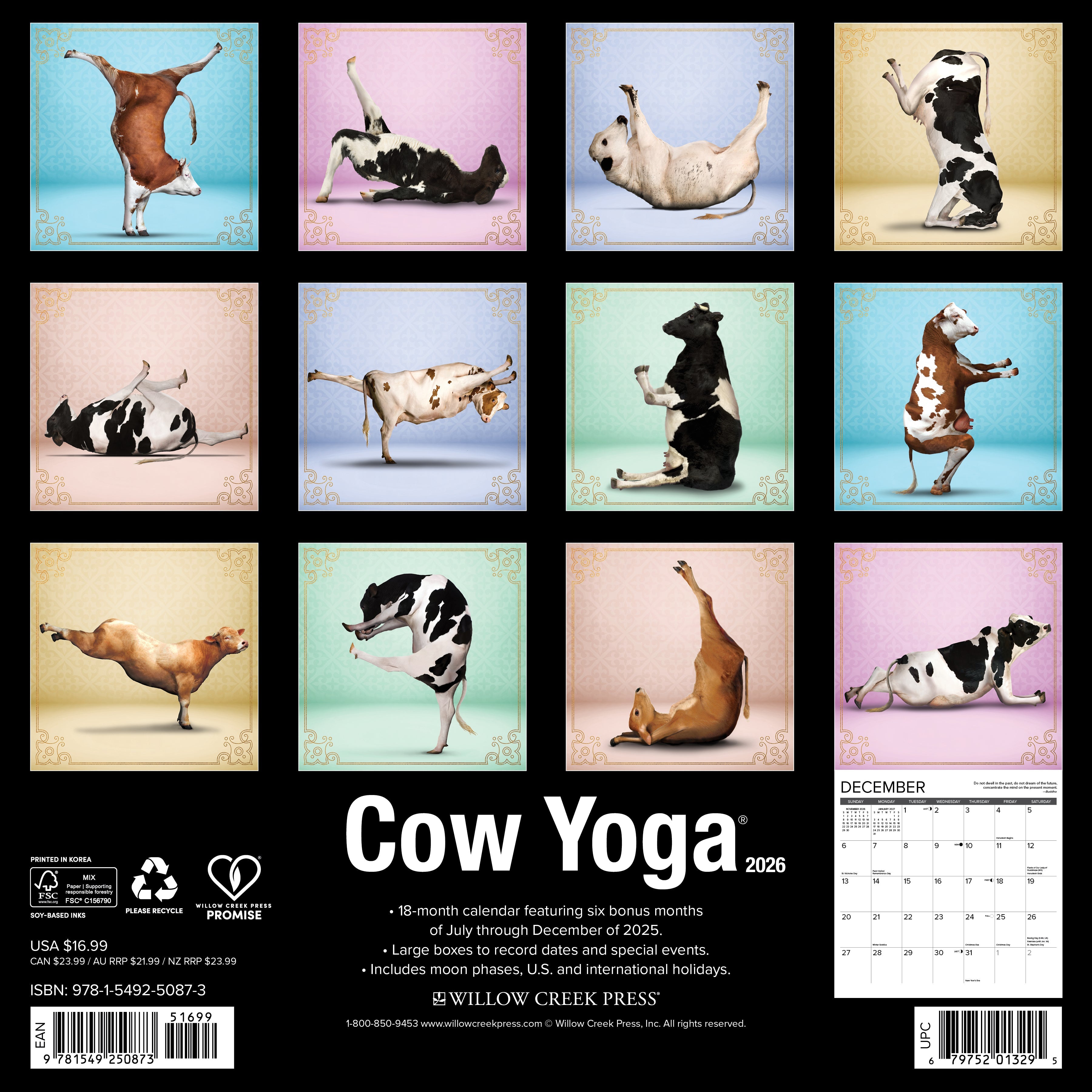 2026 Cow Yoga - Square Wall