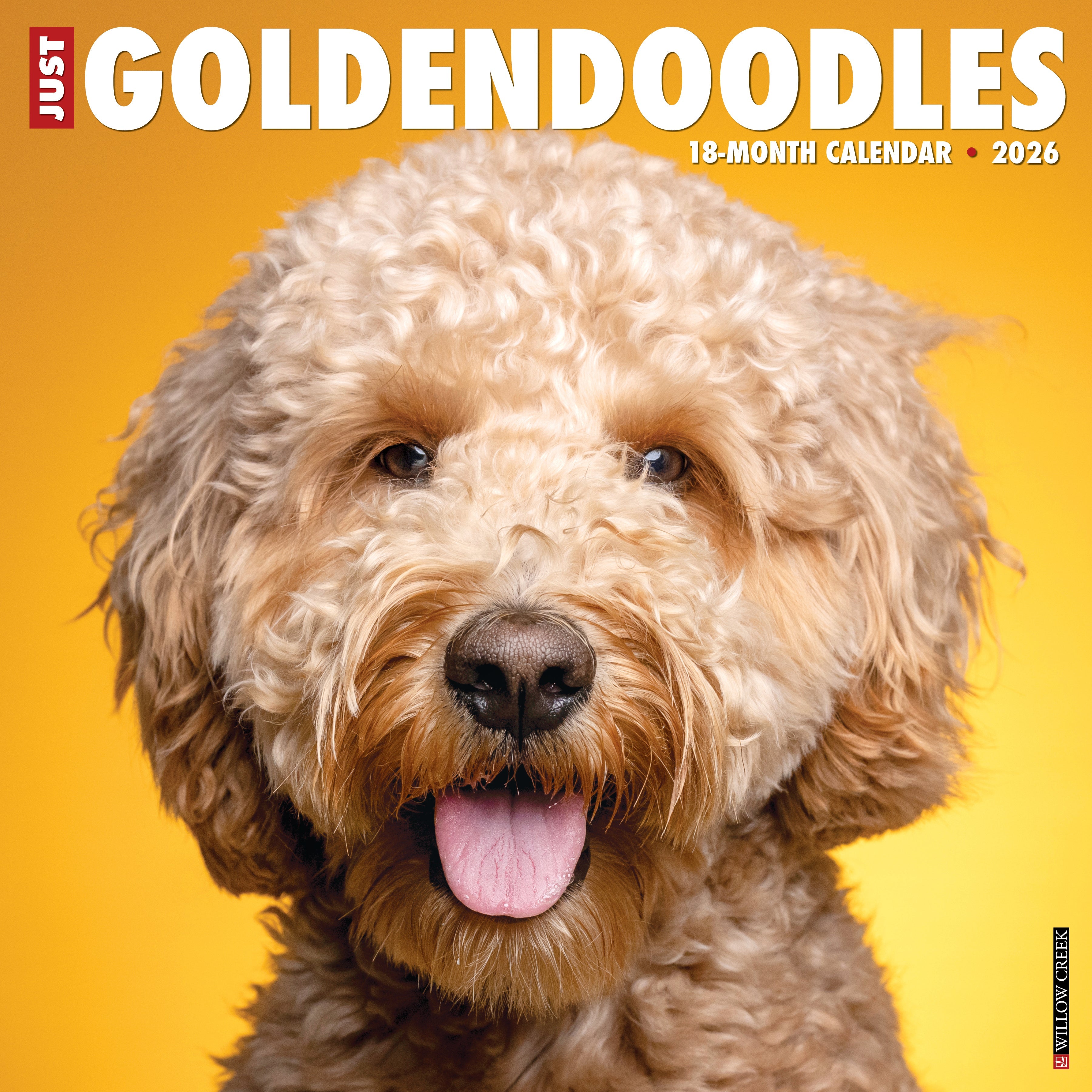 2026 Goldendoodles - Square Wall