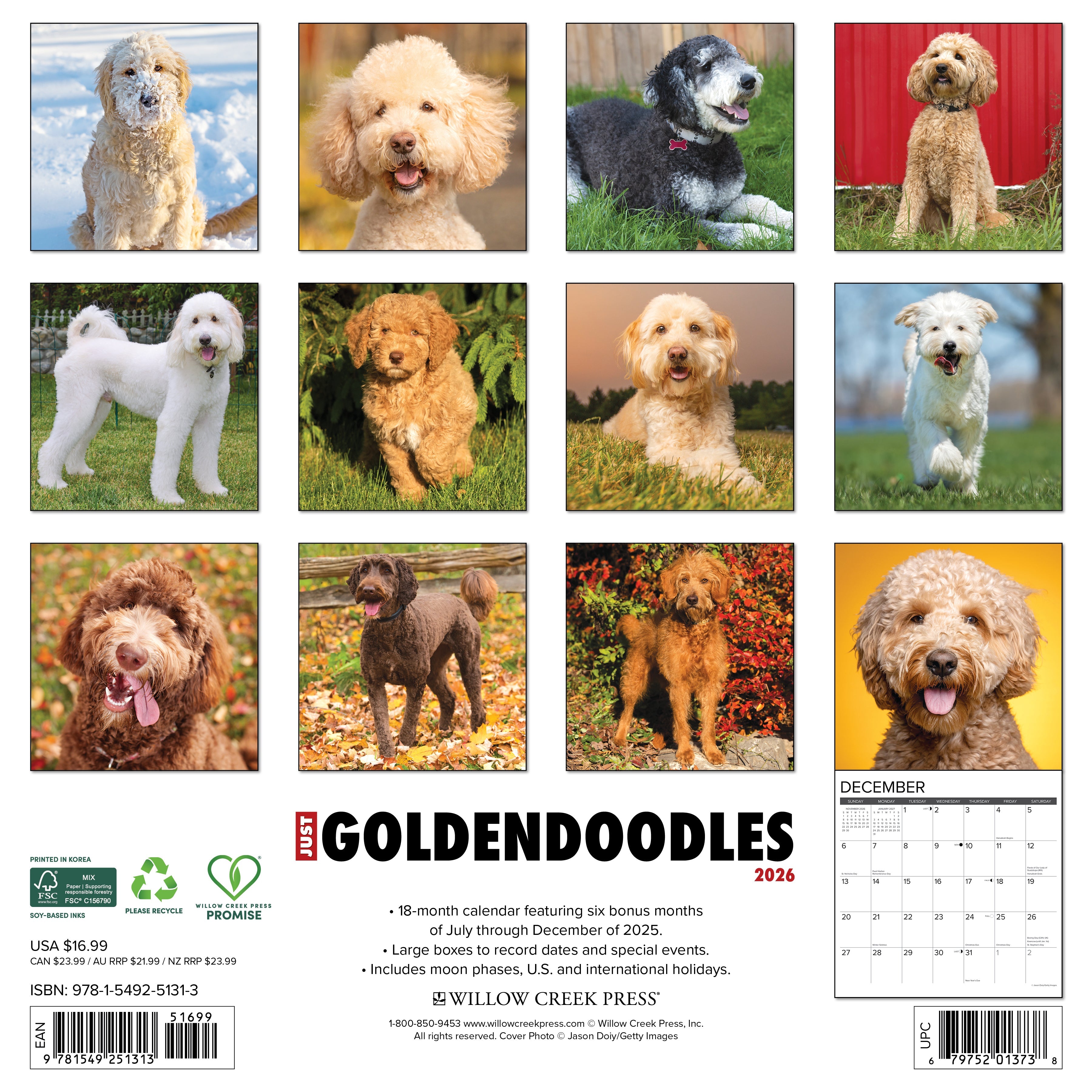 2026 Goldendoodles - Square Wall