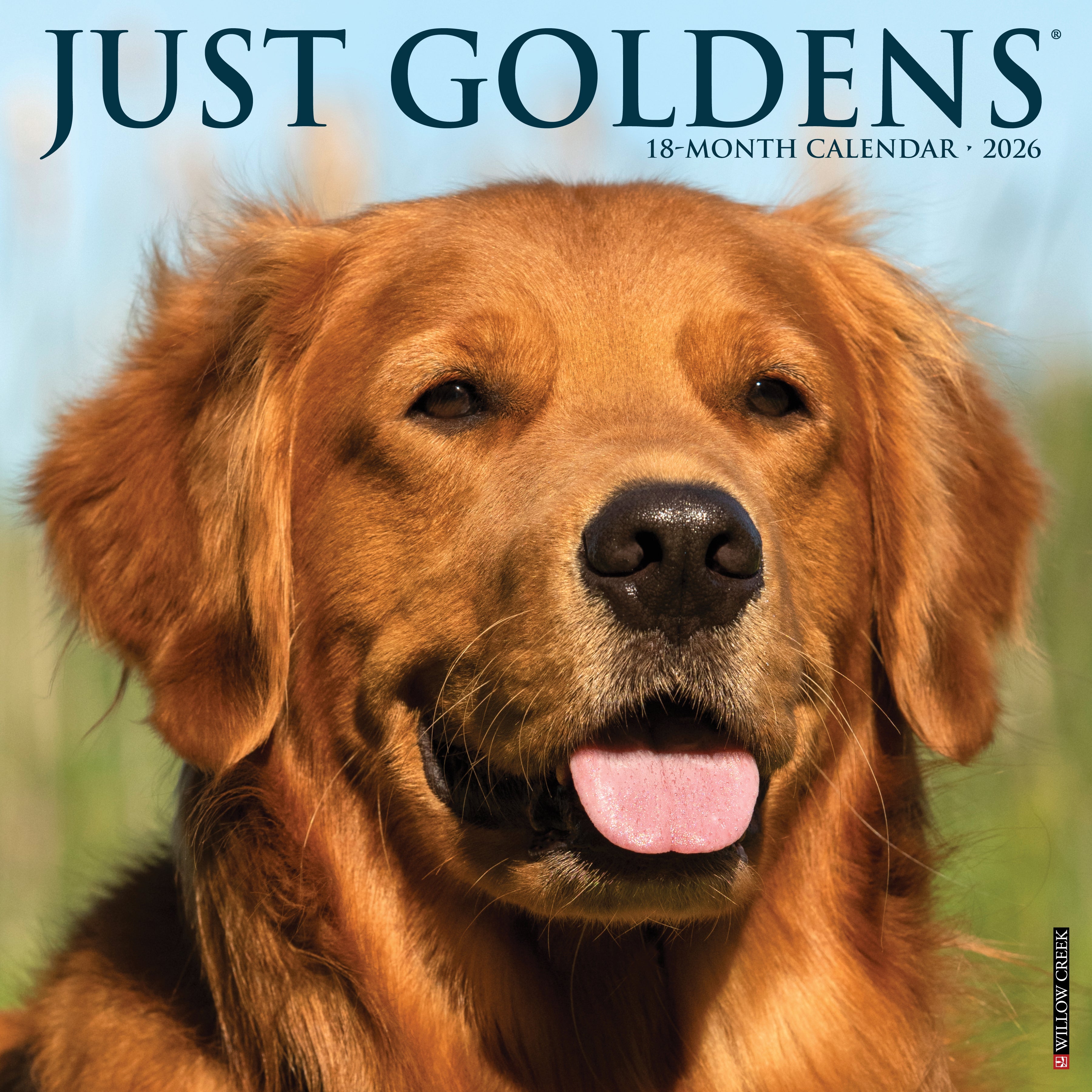 2026 Goldens - Square Wall