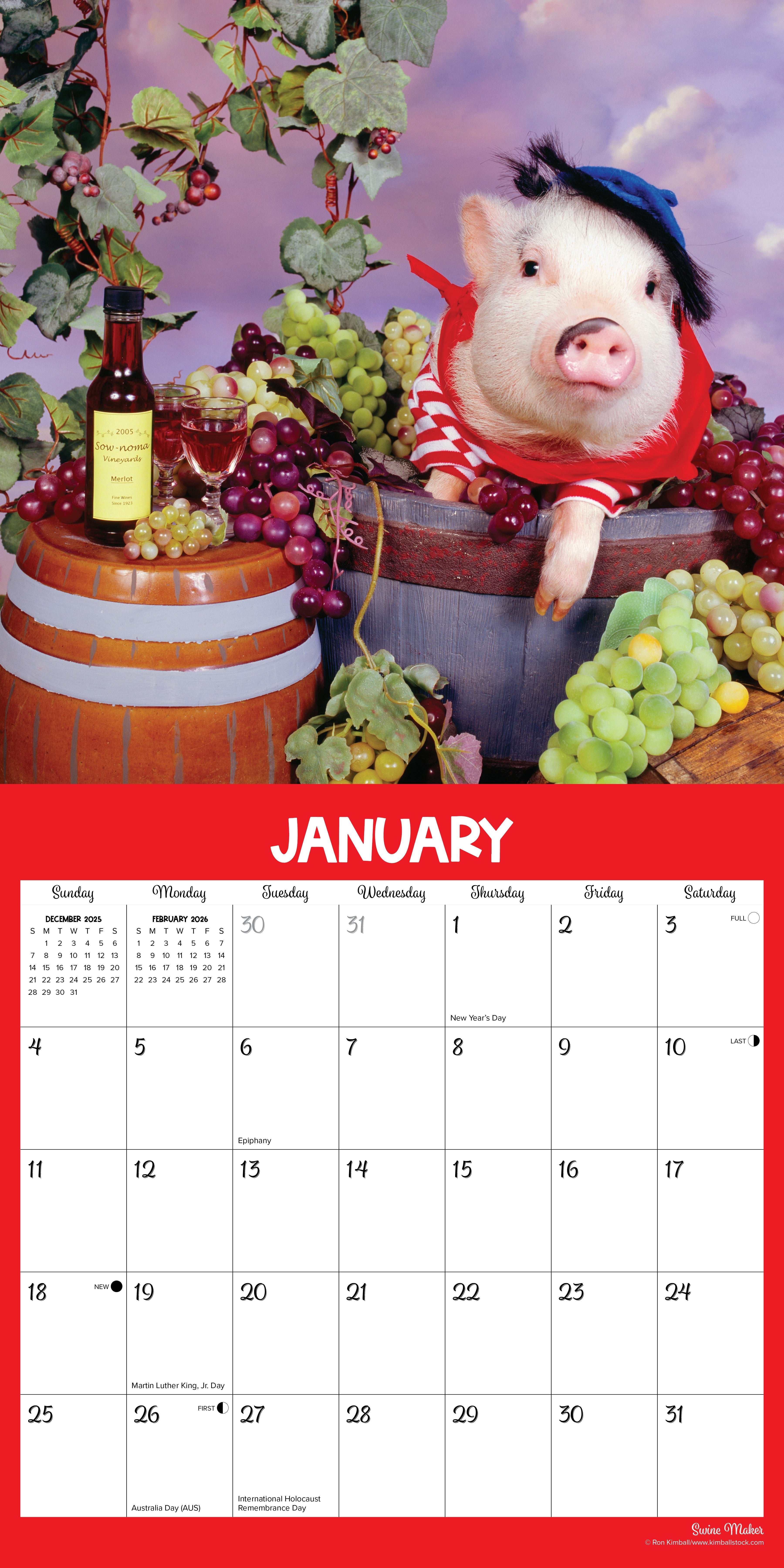 2026 Pigs at Play - Square Wall