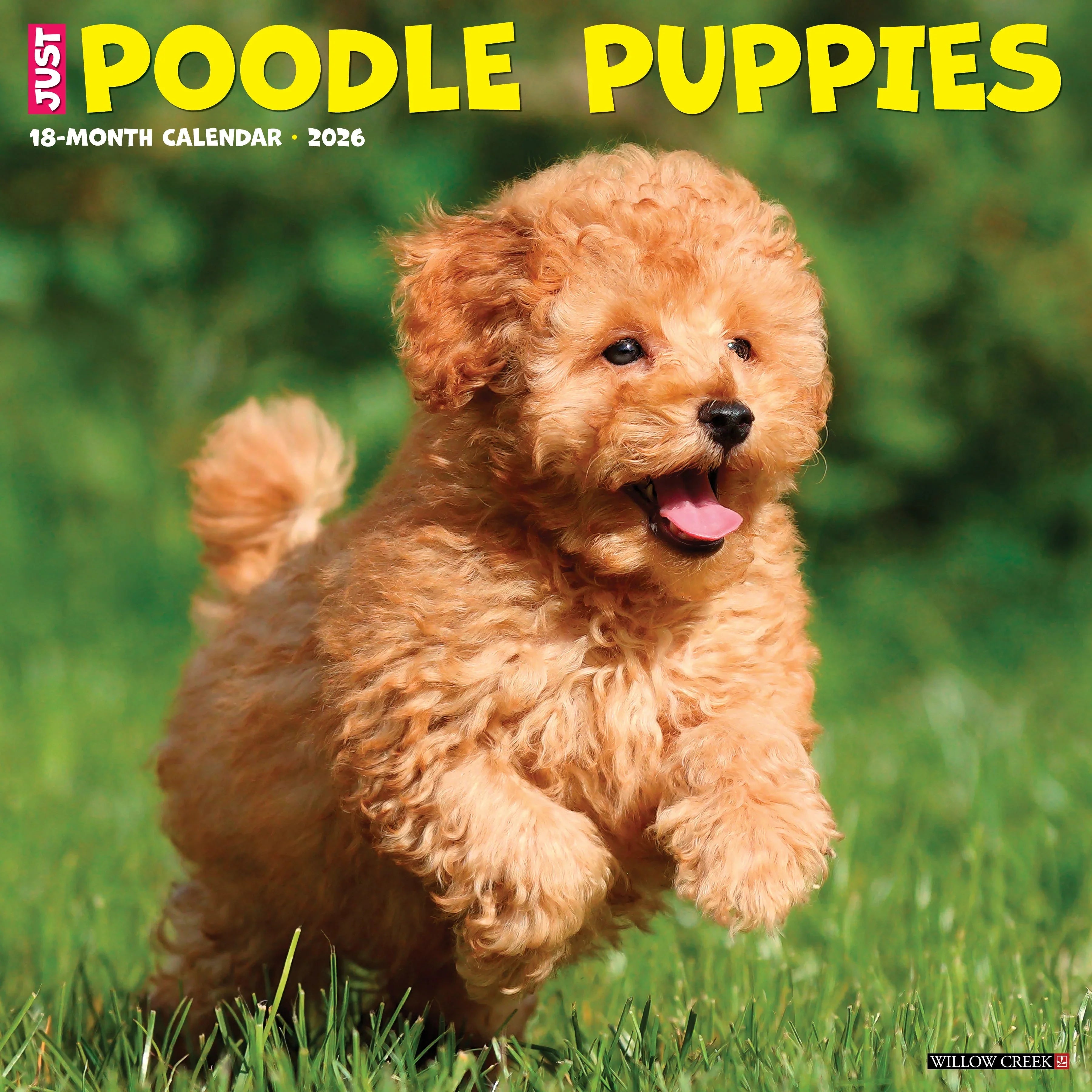 2026 Poodle Puppies - Square Wall