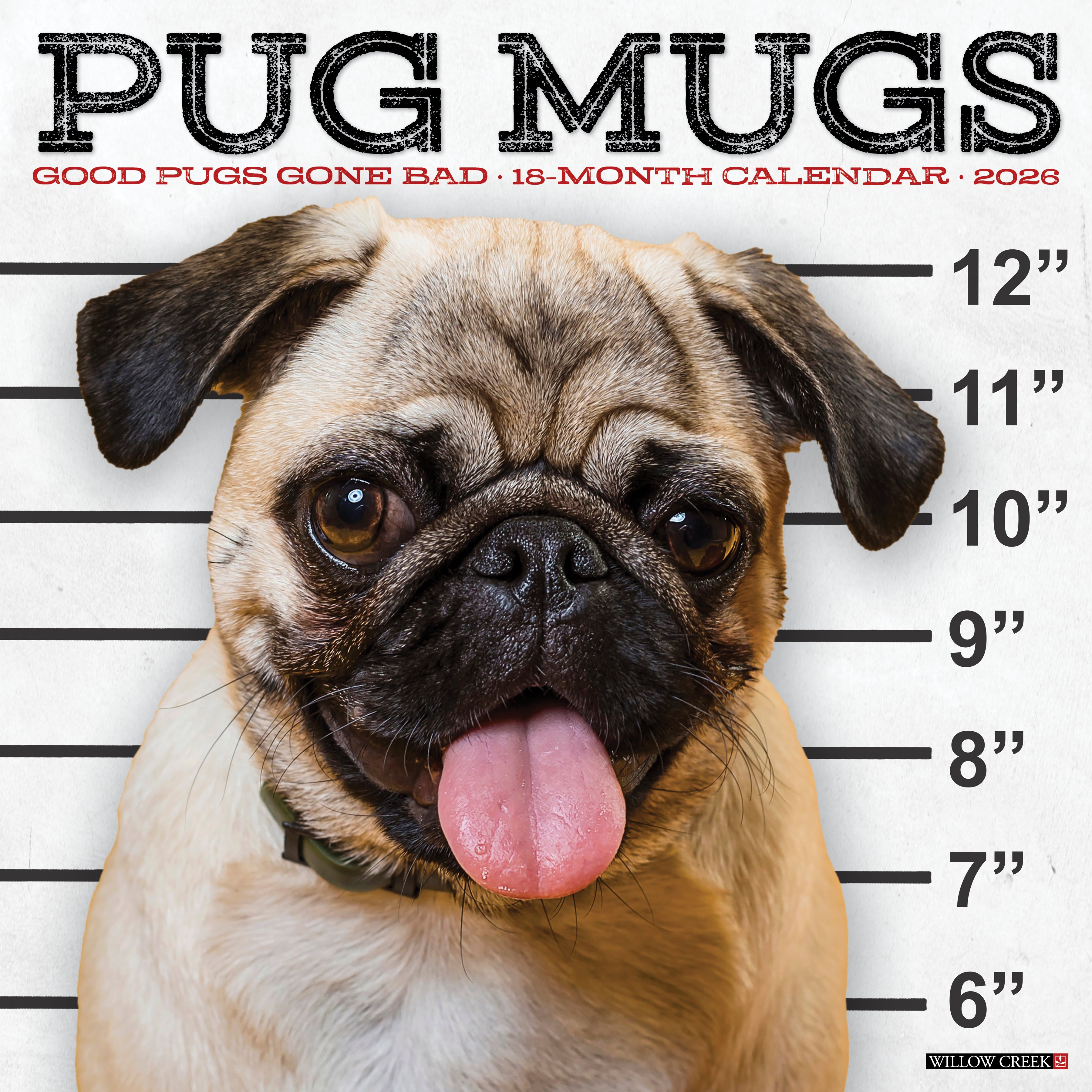 2026 Pug Mugs - Square Wall
