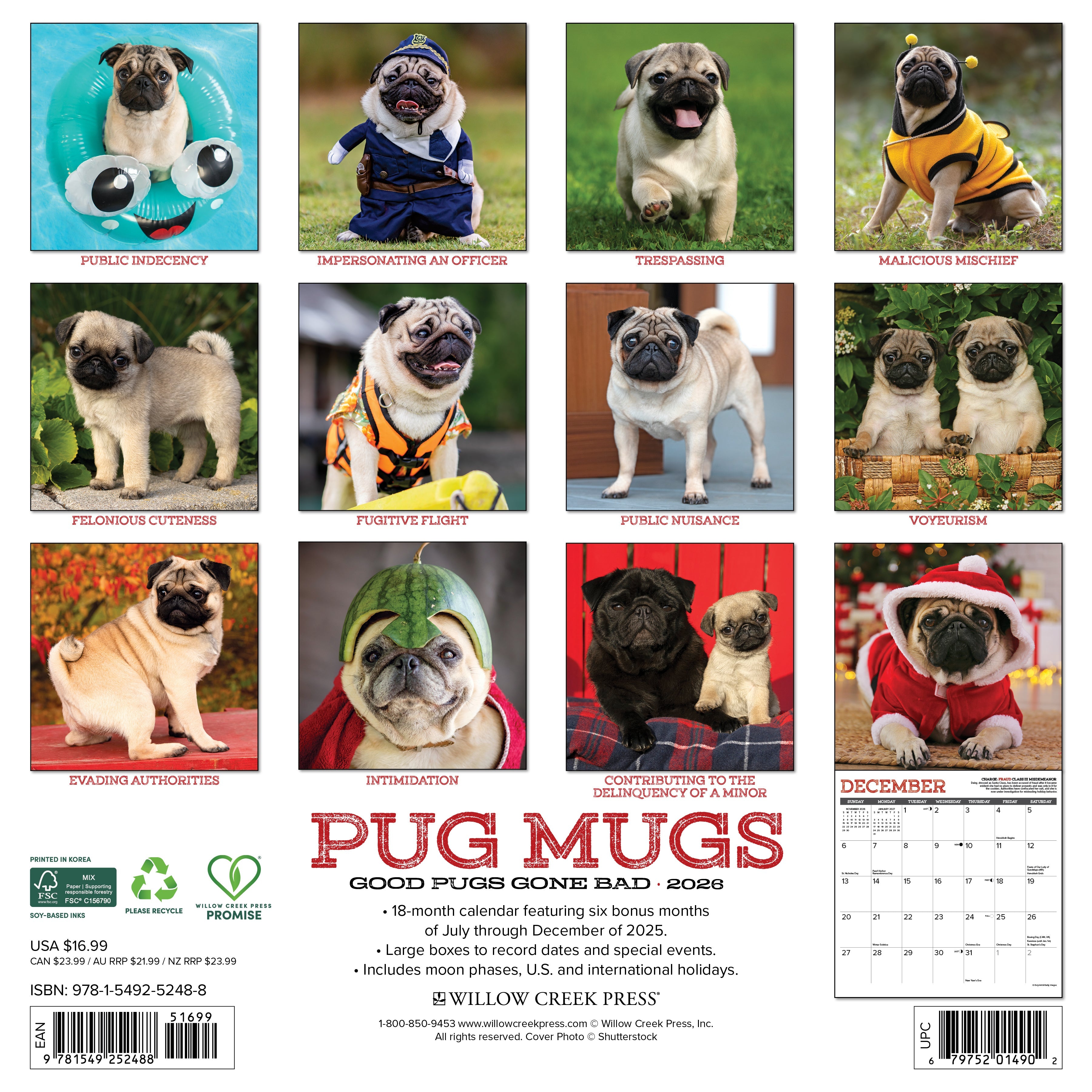 2026 Pug Mugs - Square Wall