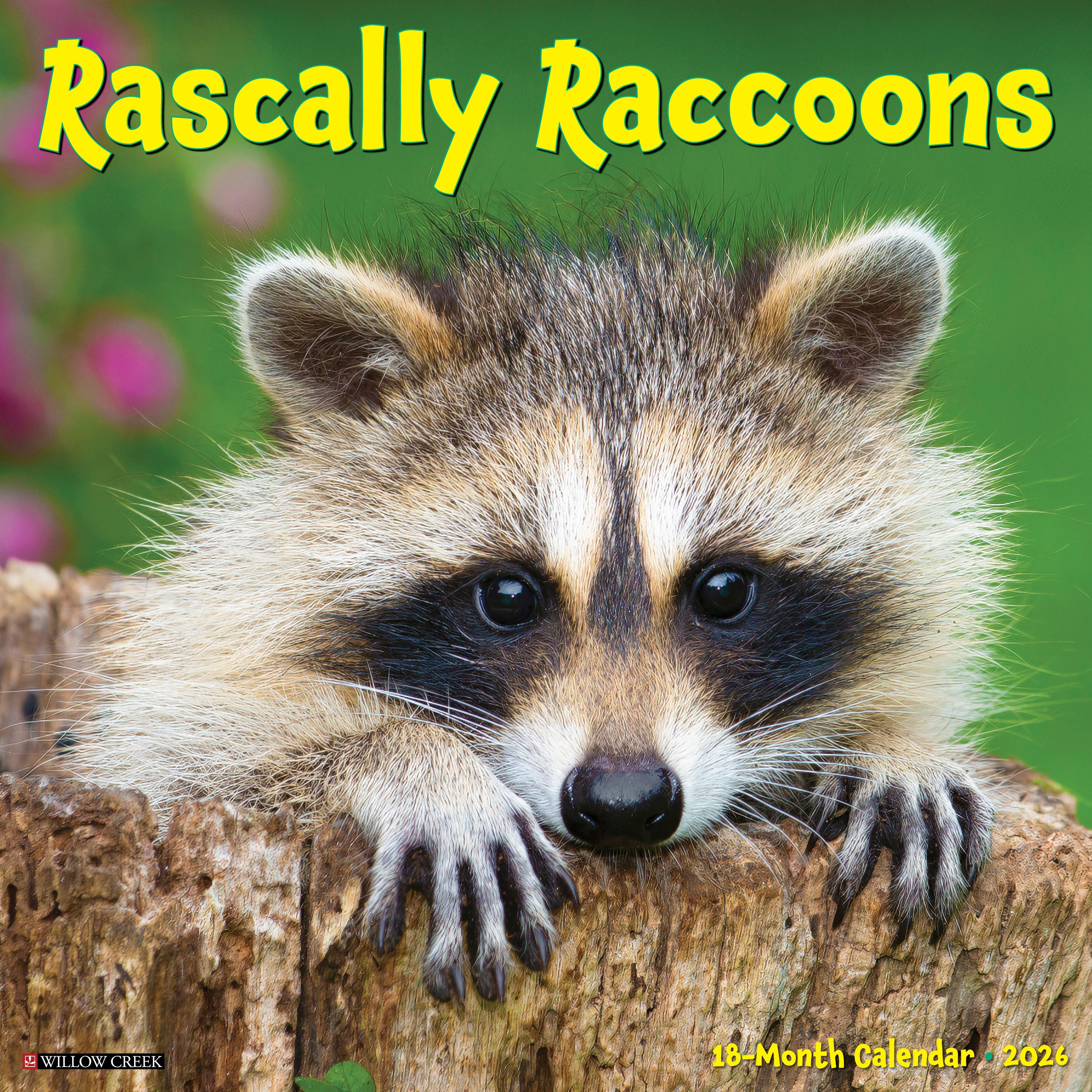 2026 Rascally Raccoons - Square Wall