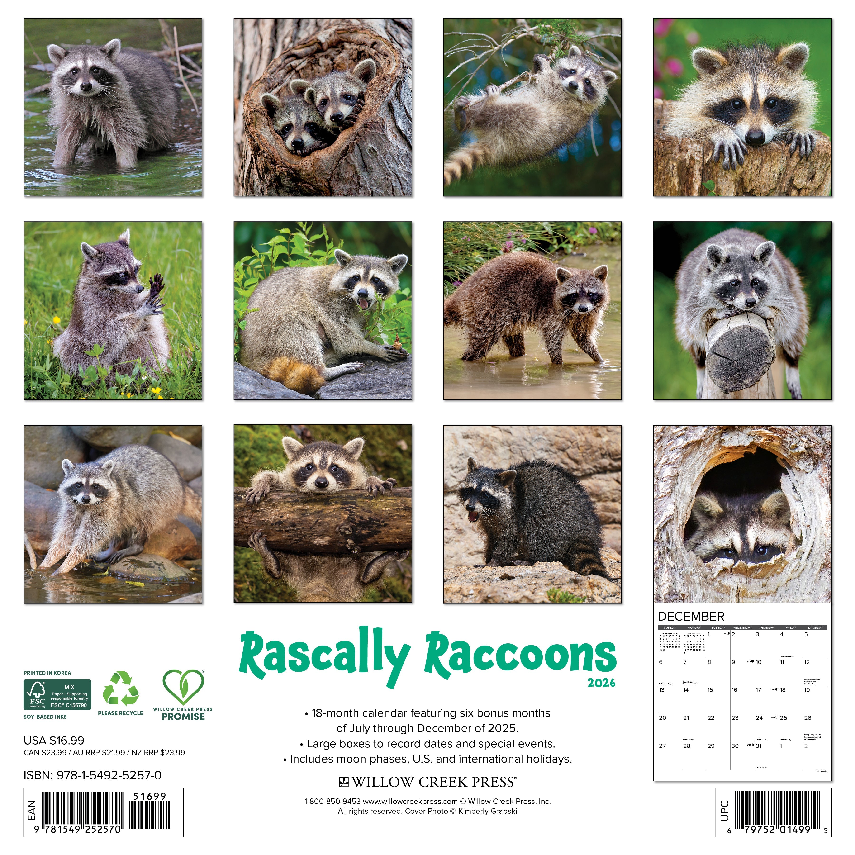 2026 Rascally Raccoons - Square Wall