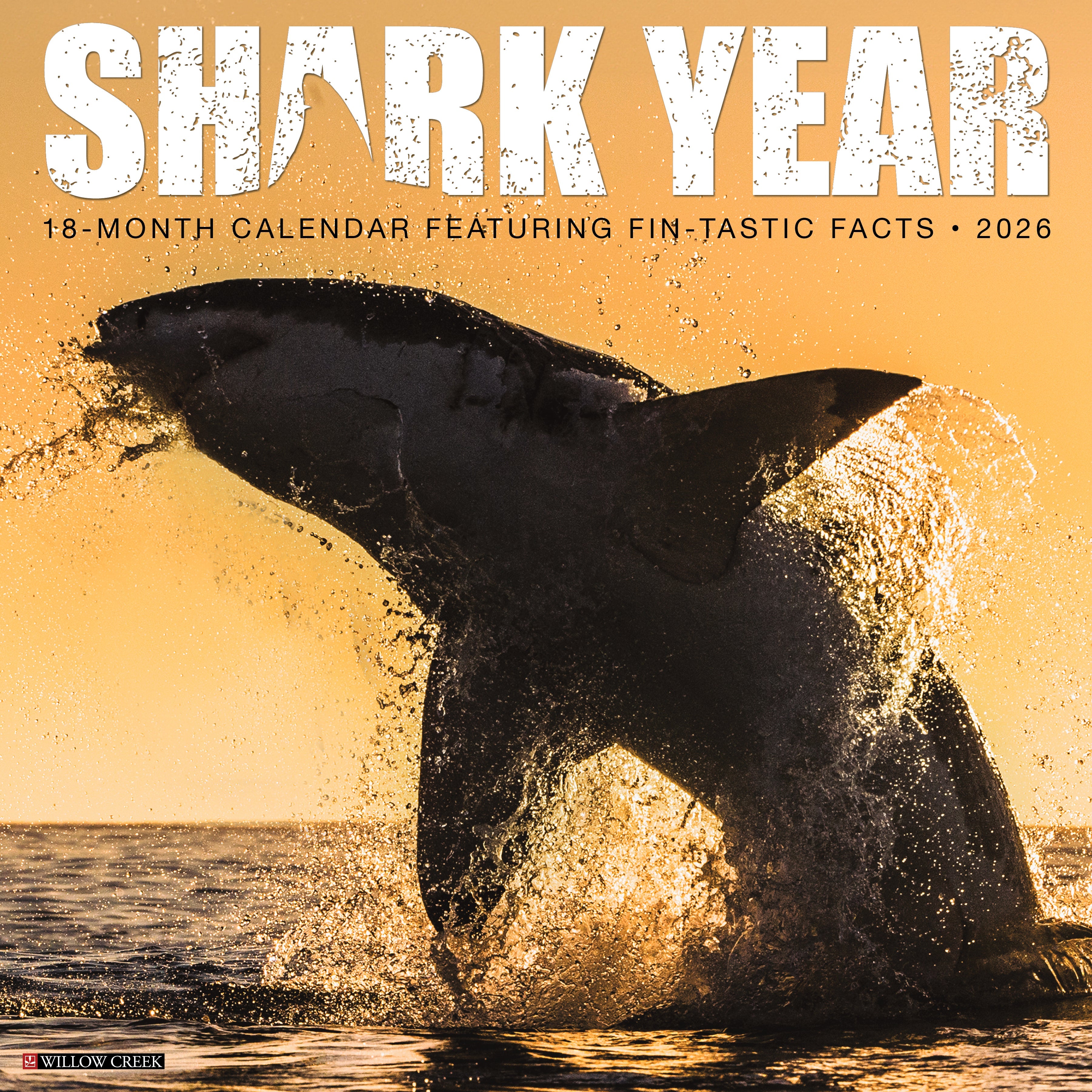 2026 Shark Year - Square Wall