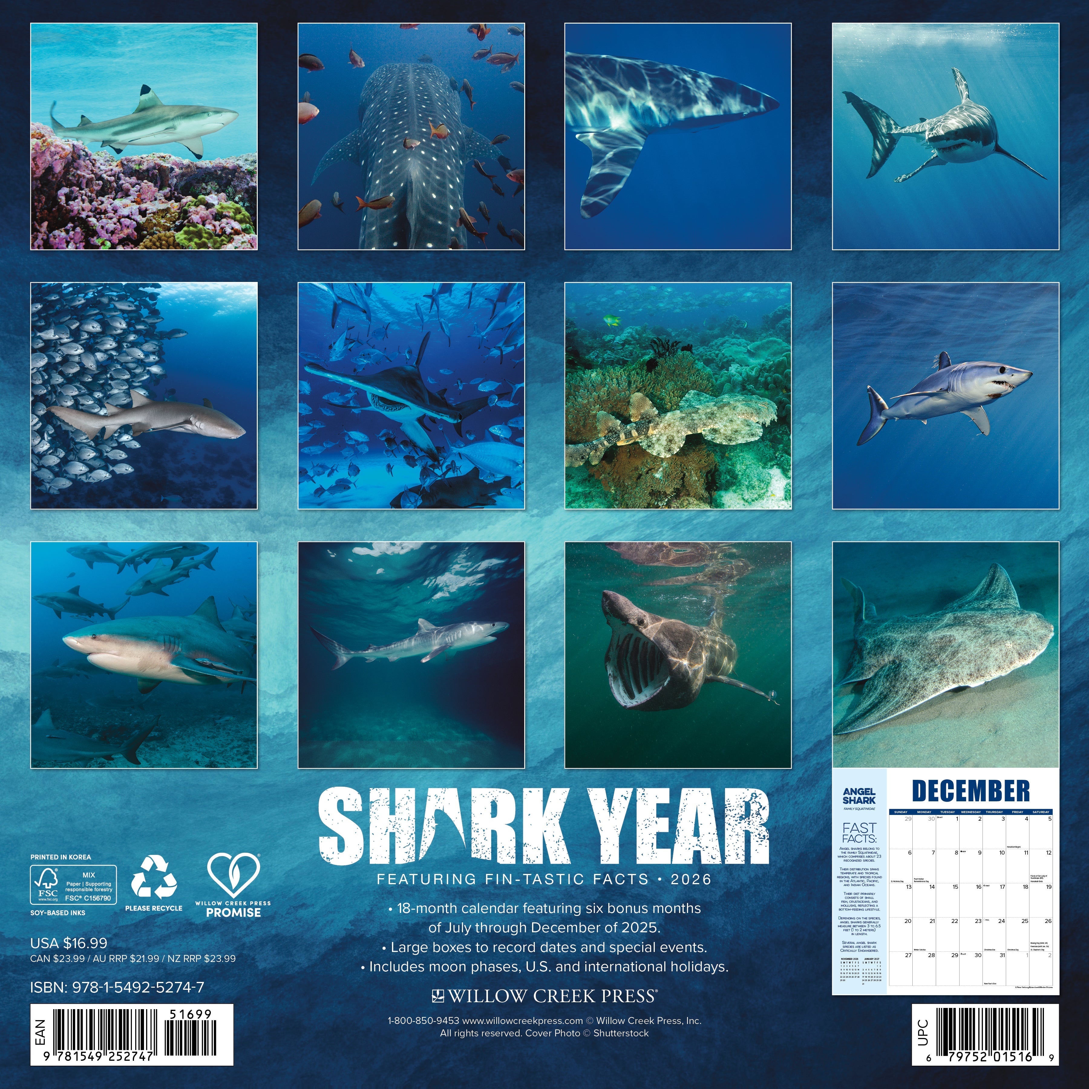 2026 Shark Year - Square Wall