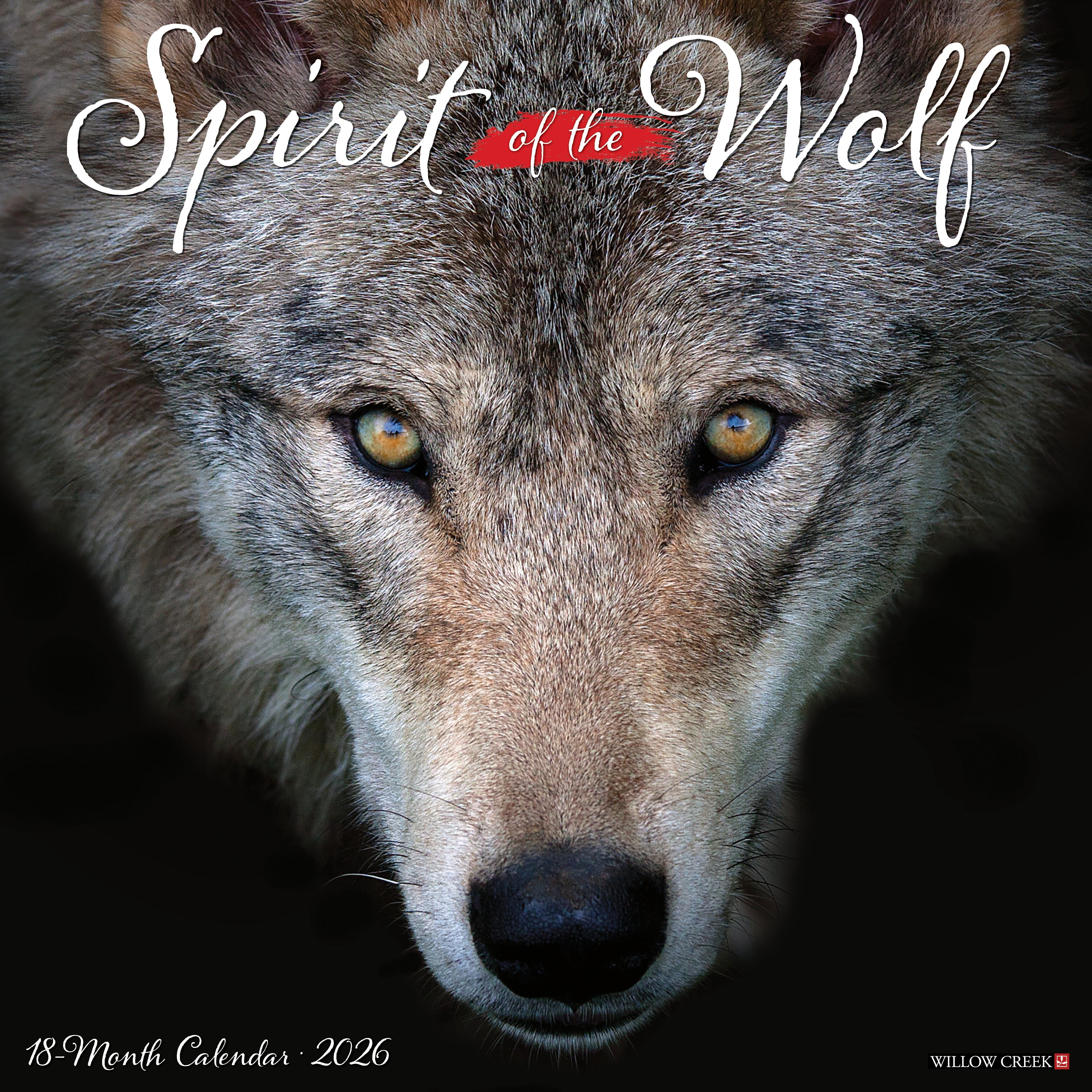 2026 Spirit of the Wolf - Square Wall