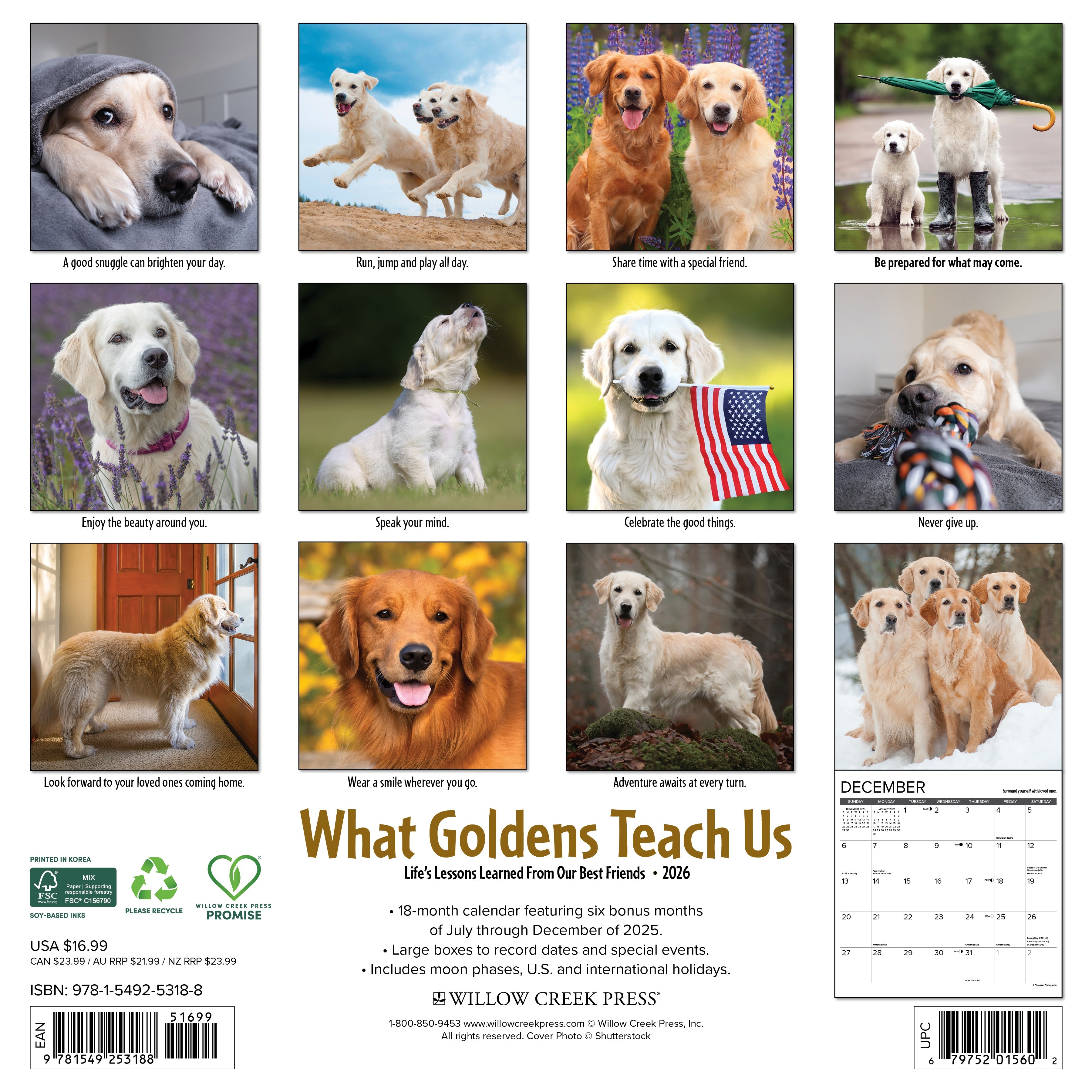 2026 What Goldens Teach Us - Square Wall
