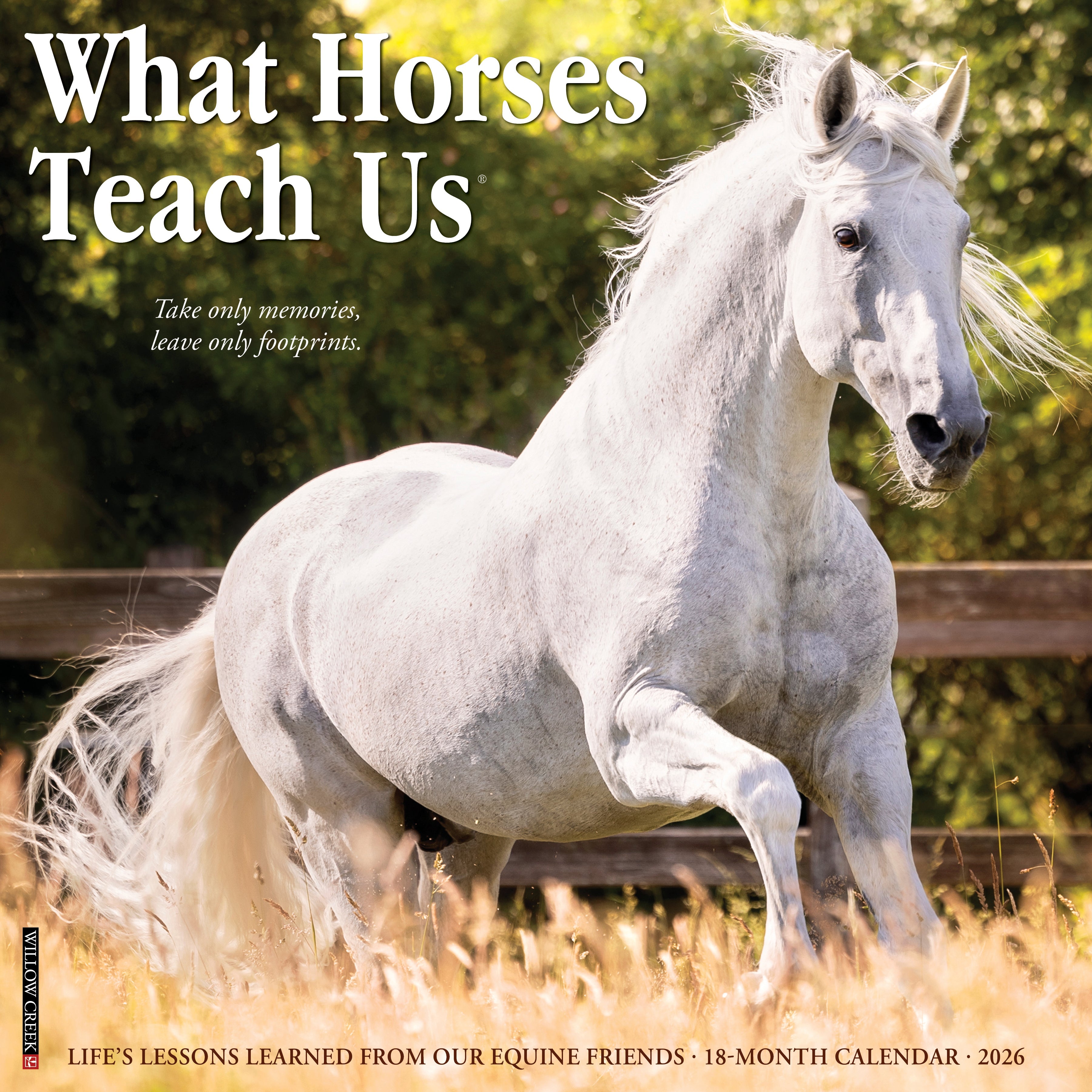 2026 What Horses Teach Us - Square Wall