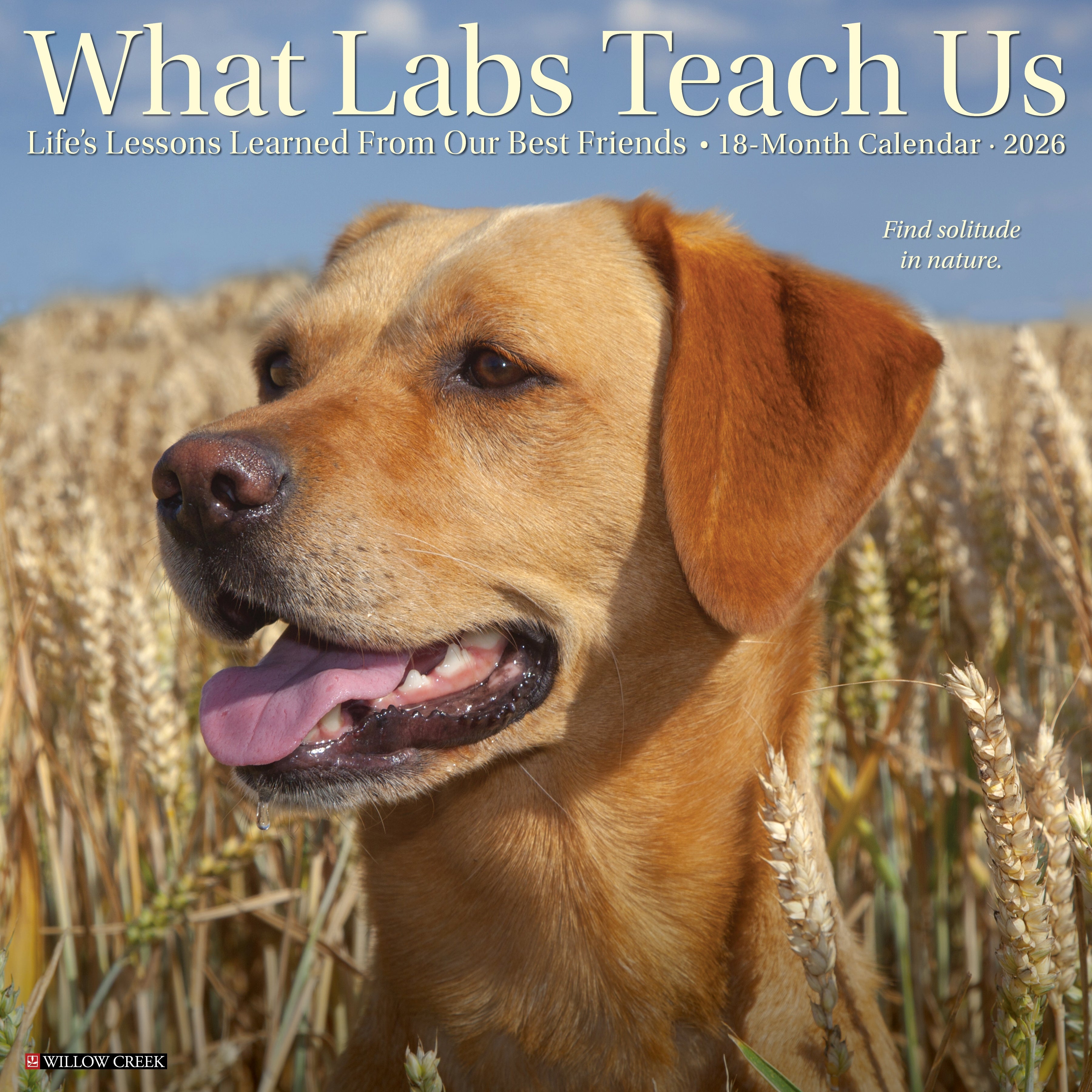 2026 What Labs Teach Us - Square Wall