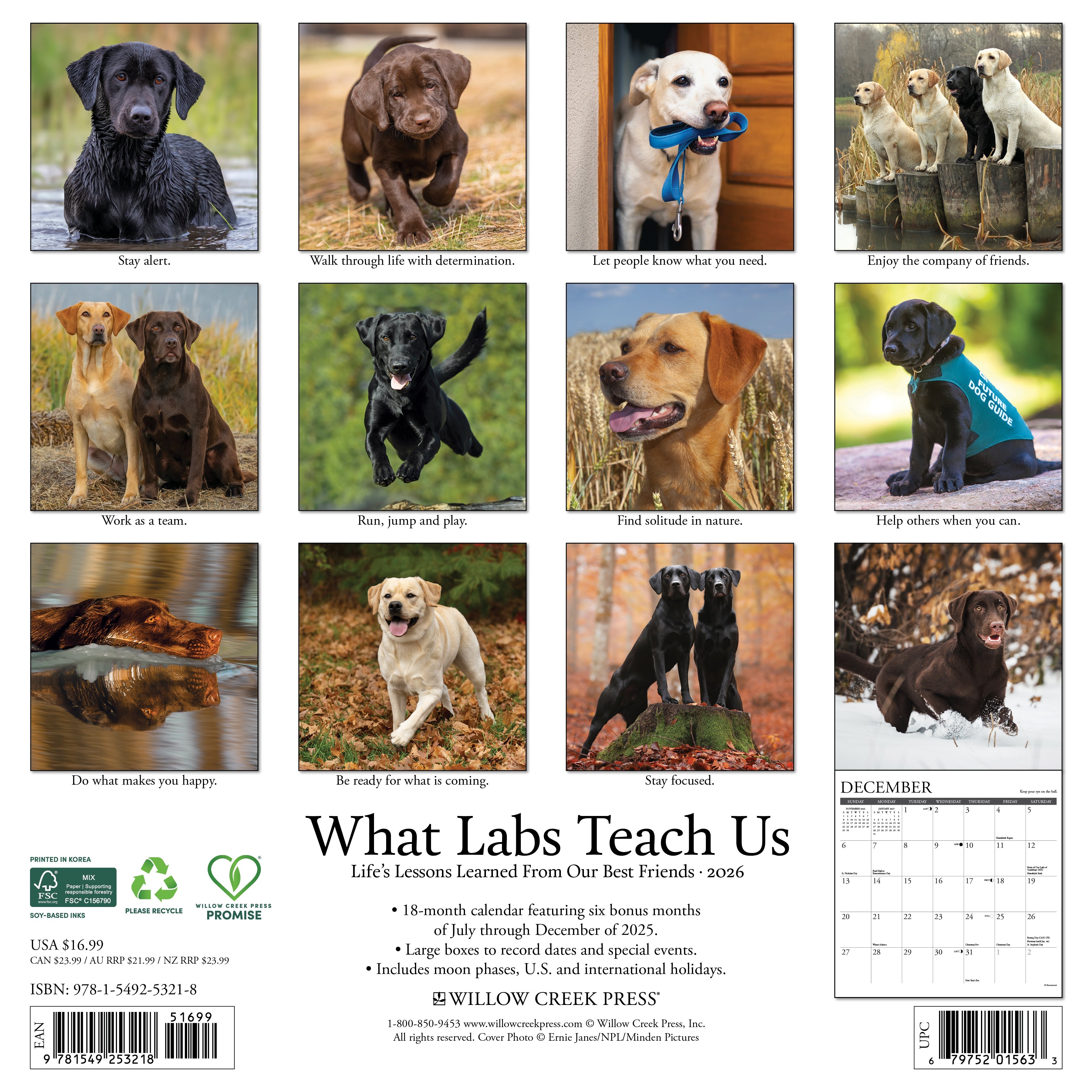 2026 What Labs Teach Us - Square Wall