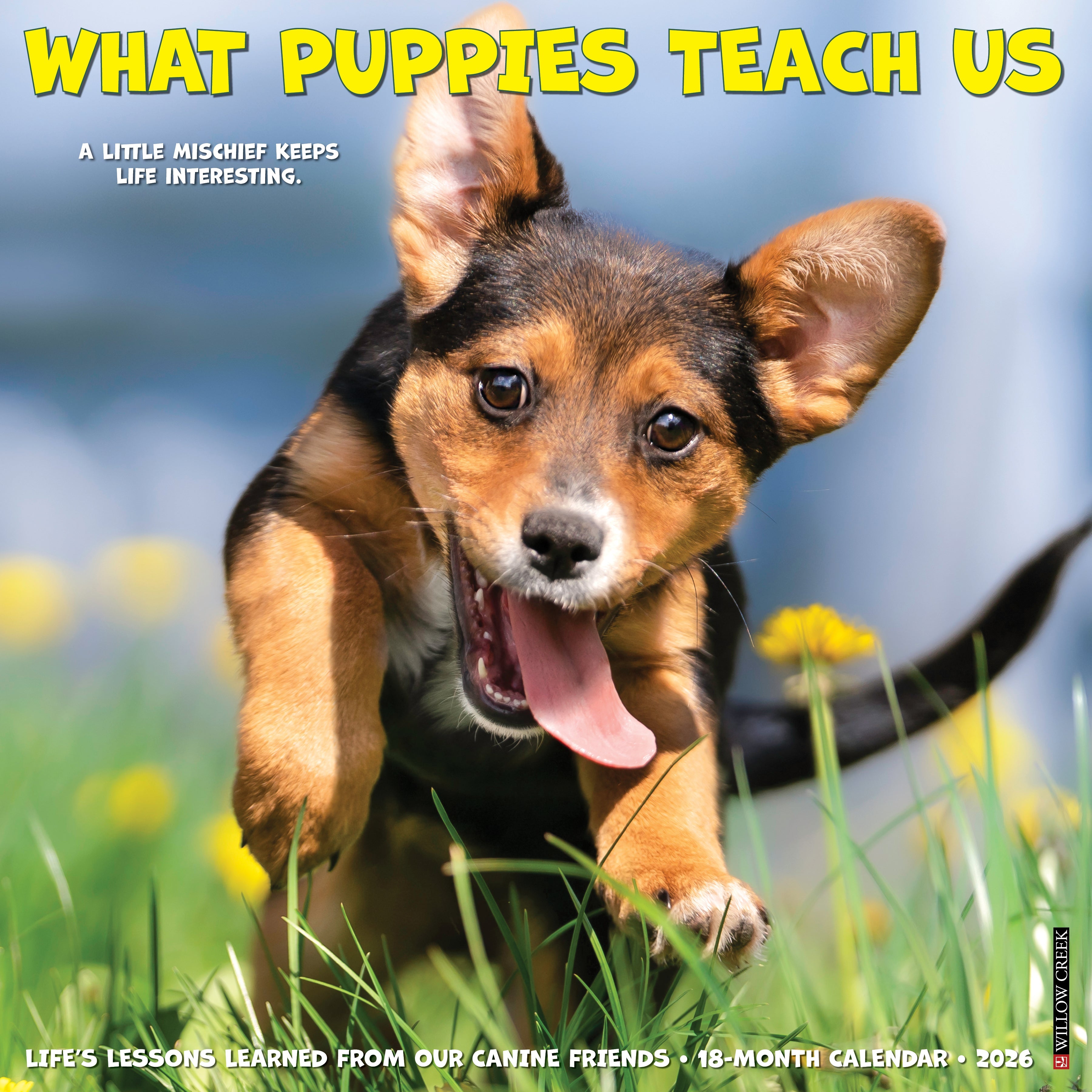 2026 What Puppies Teach Us - Square Wall