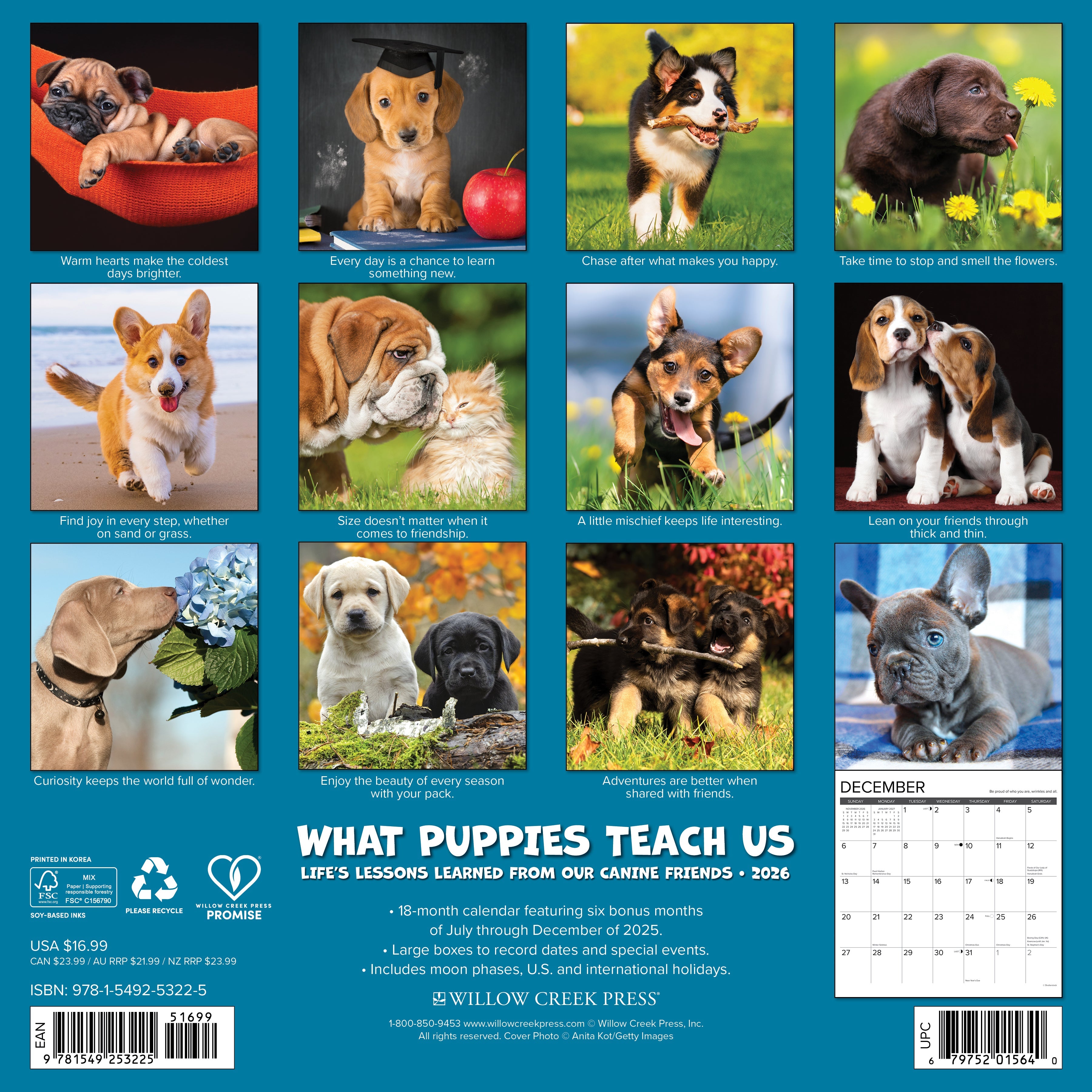 2026 What Puppies Teach Us - Square Wall