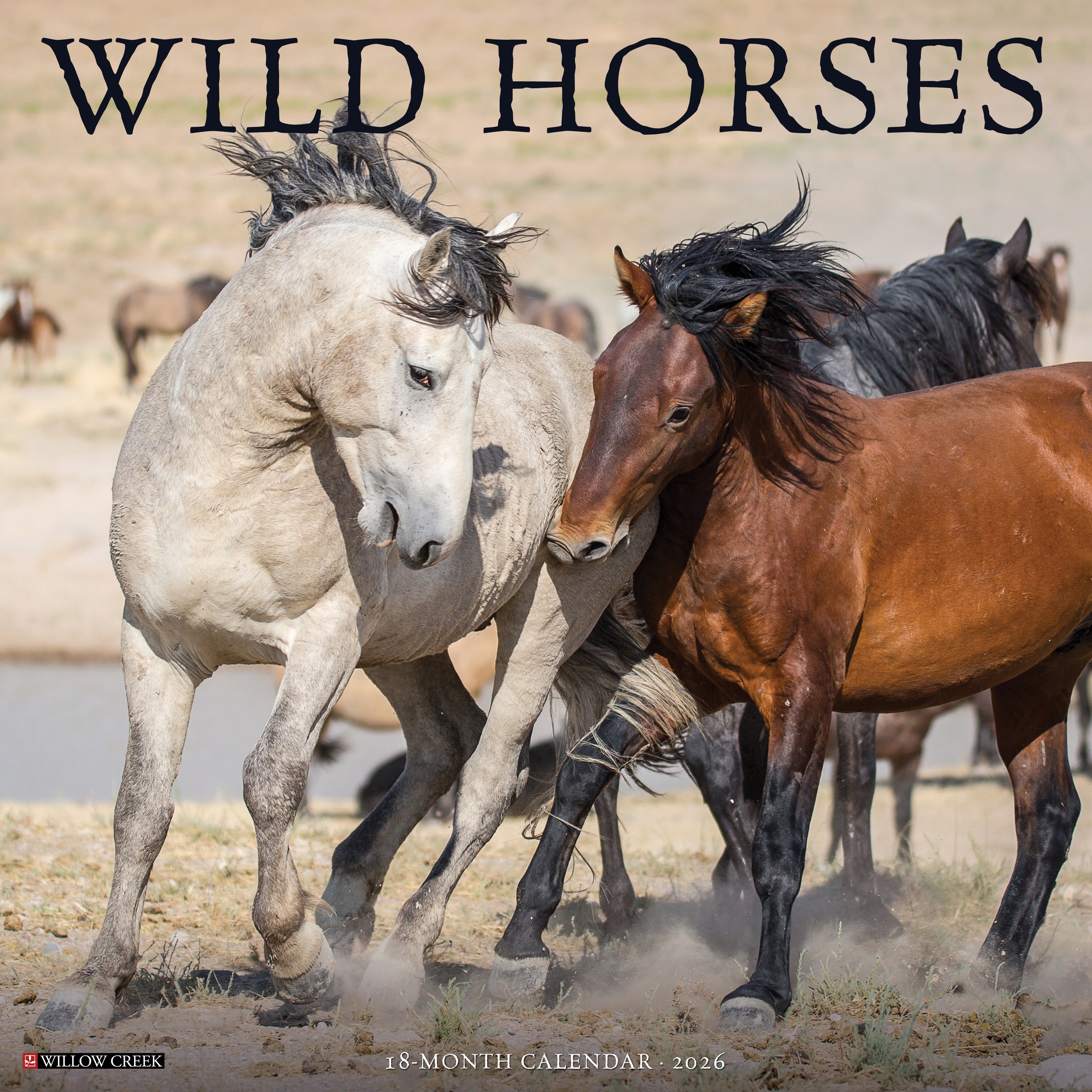 2026 Wild Horses - Square Wall