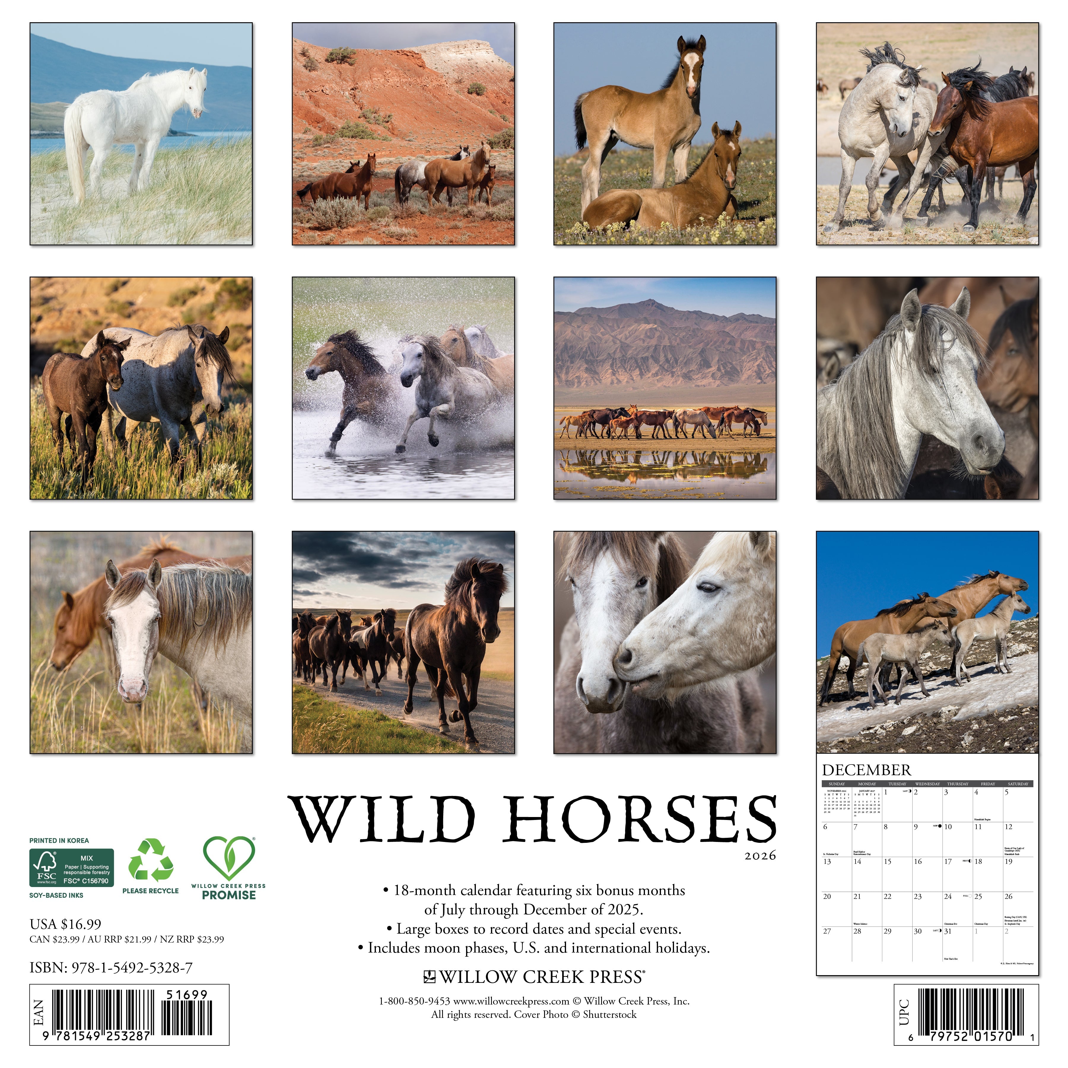 2026 Wild Horses - Square Wall
