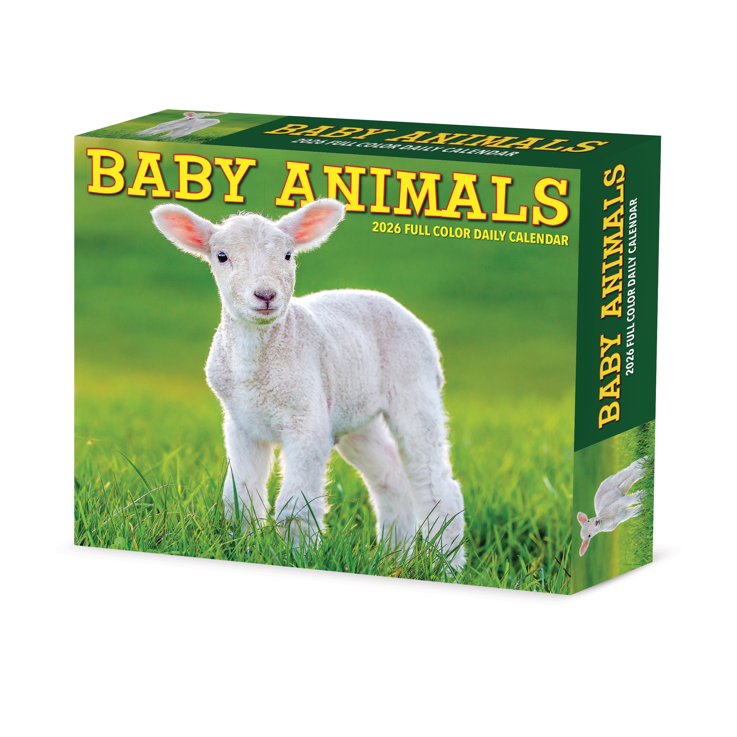 2026 Baby Animals - Boxed Page-A-Day