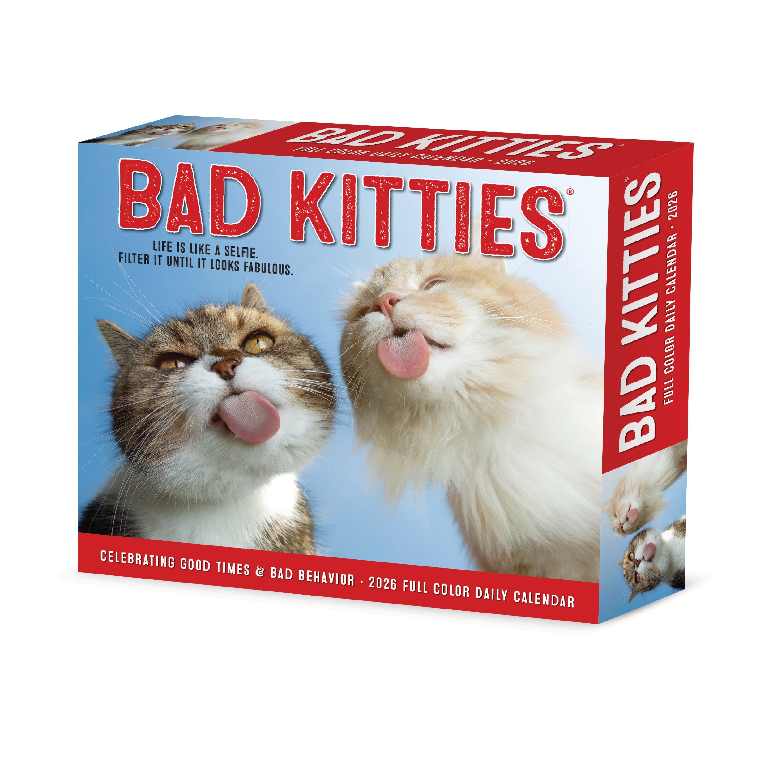 2026 Bad Kitties - Boxed Page-A-Day
