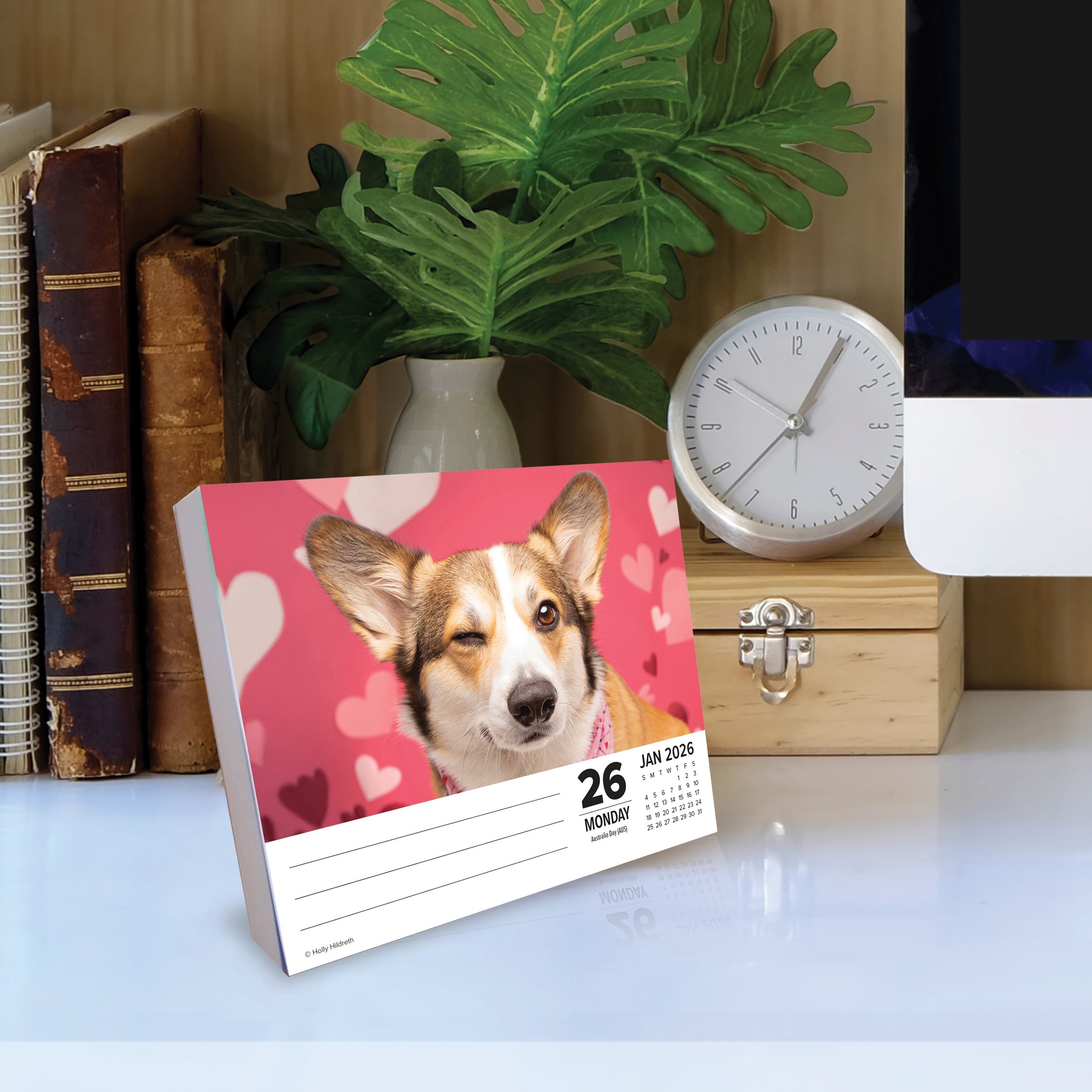 2026 Corgis - Boxed Page-A-Day