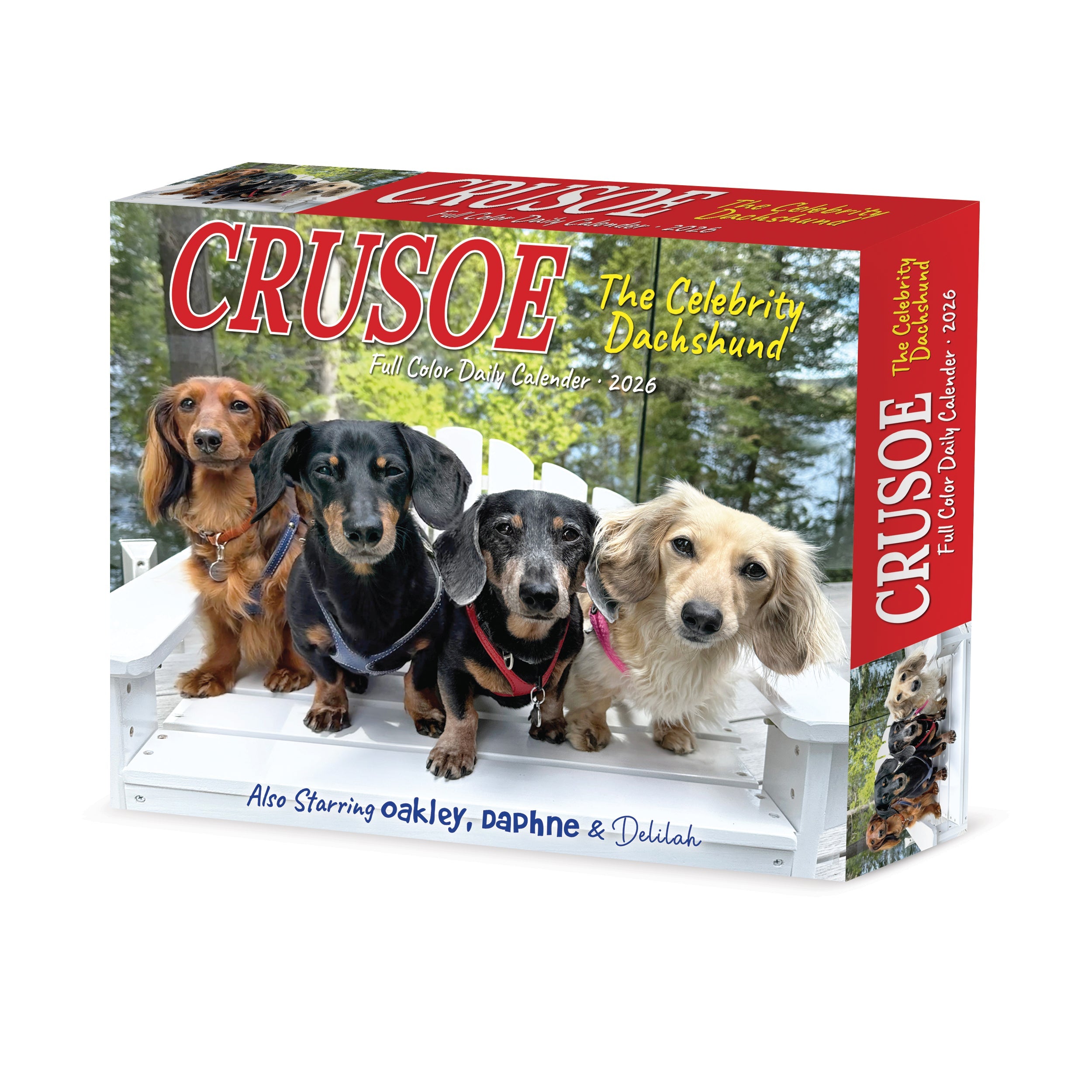 2026 Crusoe the Celebrity Dachshund - Boxed Page-A-Day