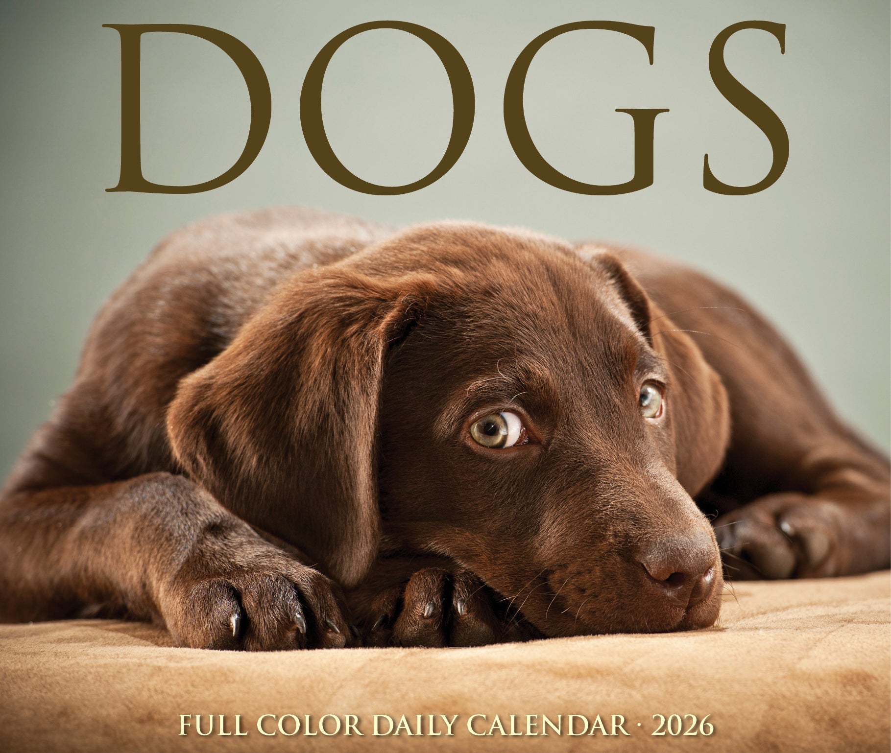 2026 Dogs - Boxed Page-A-Day