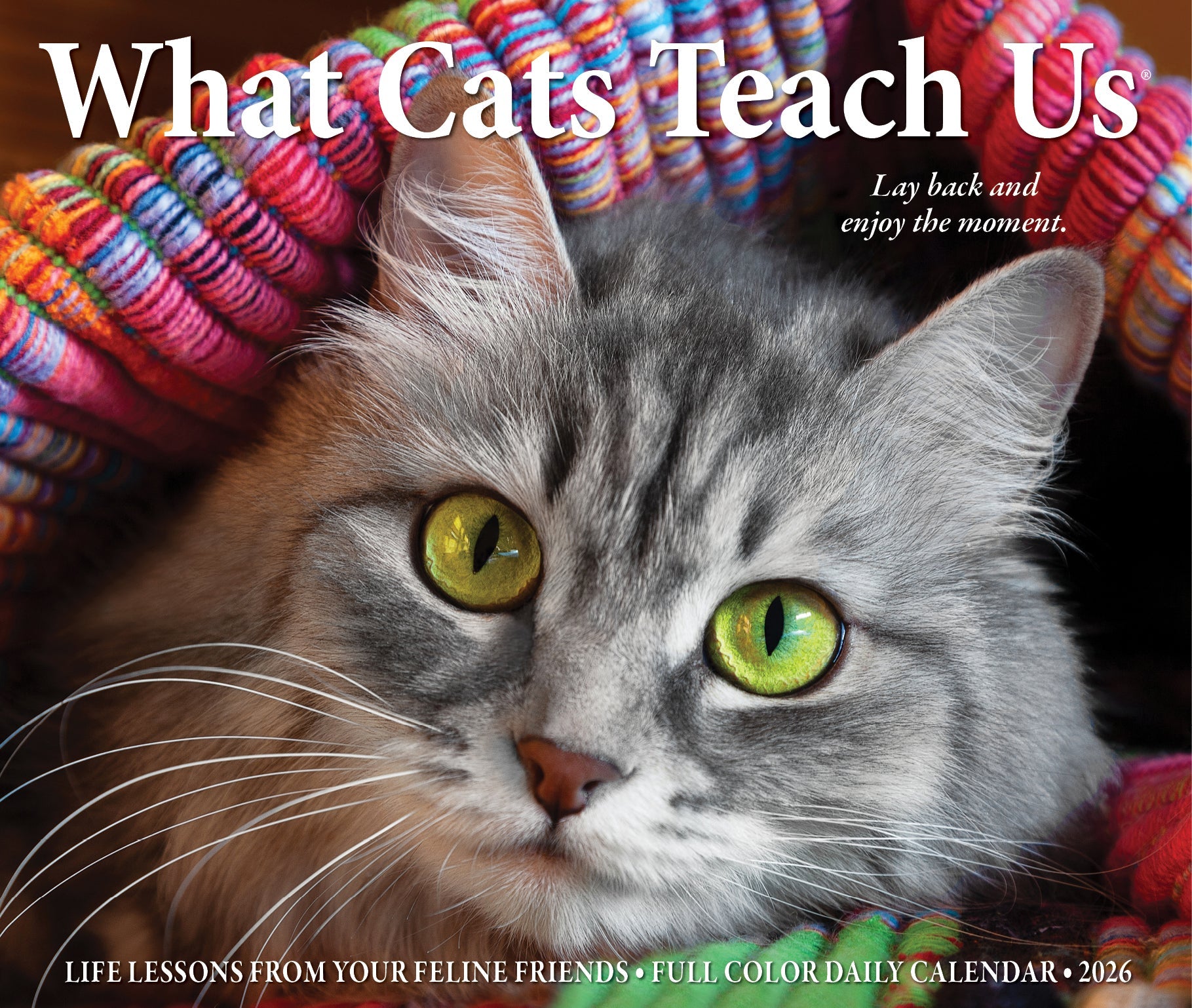 2026 What Cats Teach Us - Boxed Page-A-Day