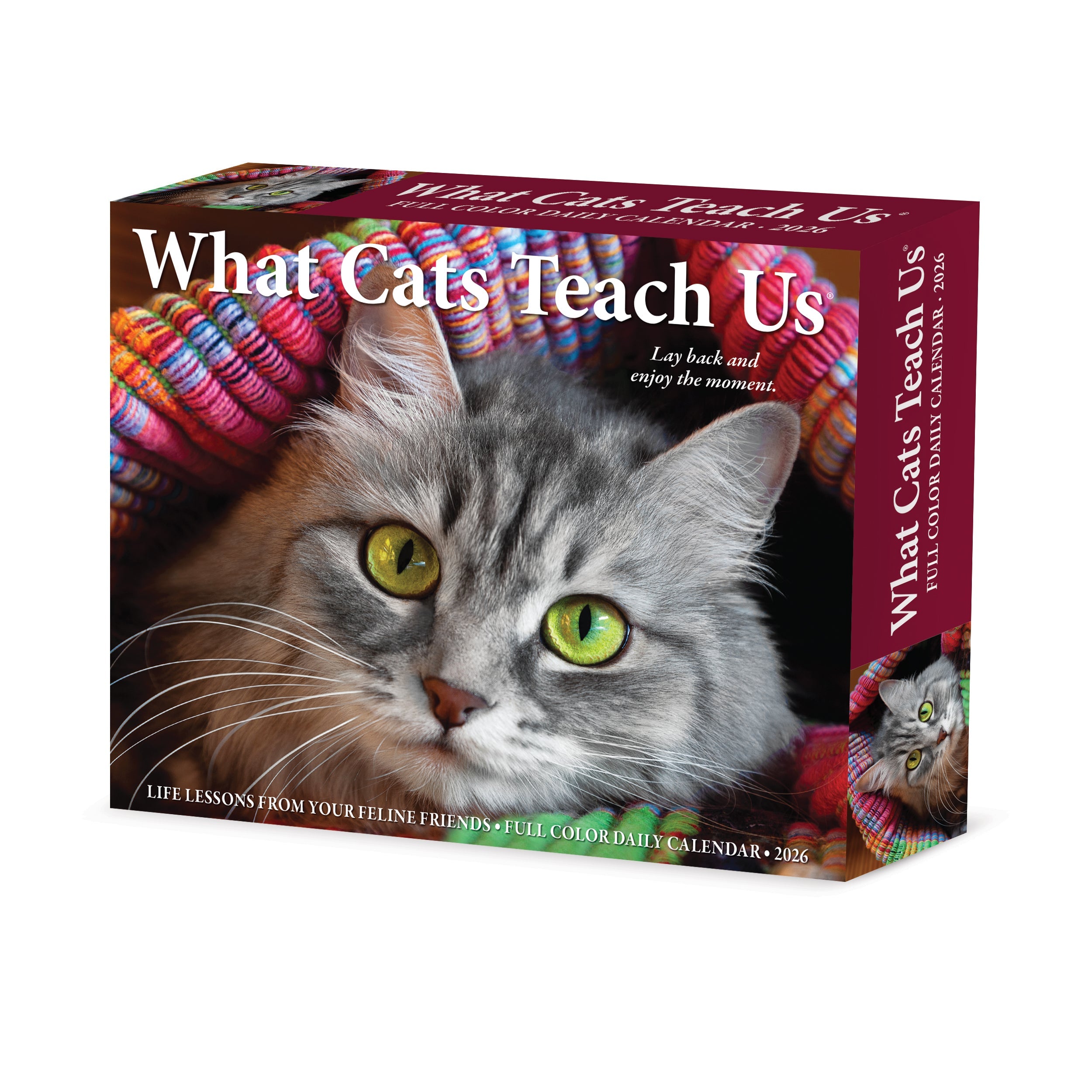 2026 What Cats Teach Us - Boxed Page-A-Day