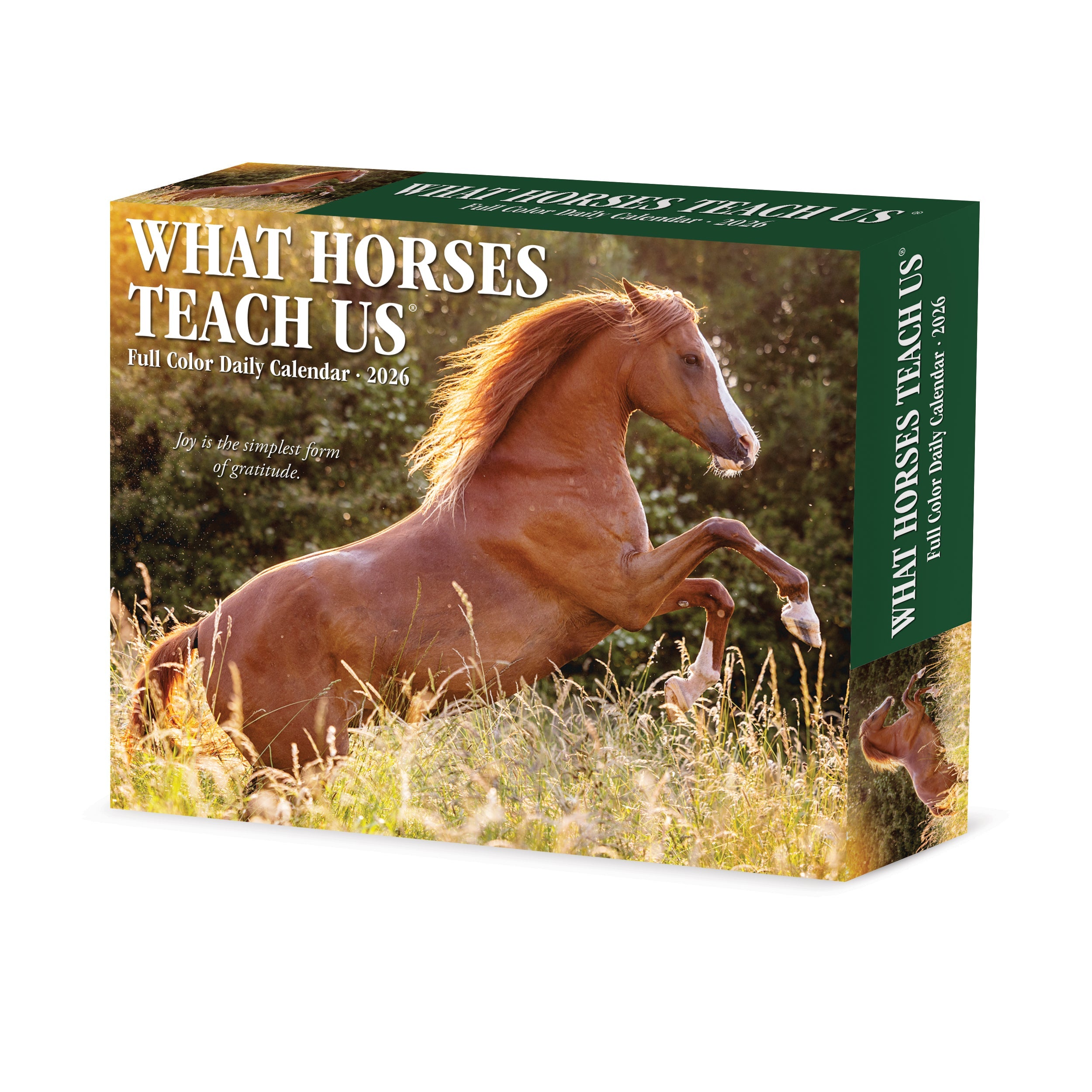2026 What Horses Teach Us - Boxed Page-A-Day