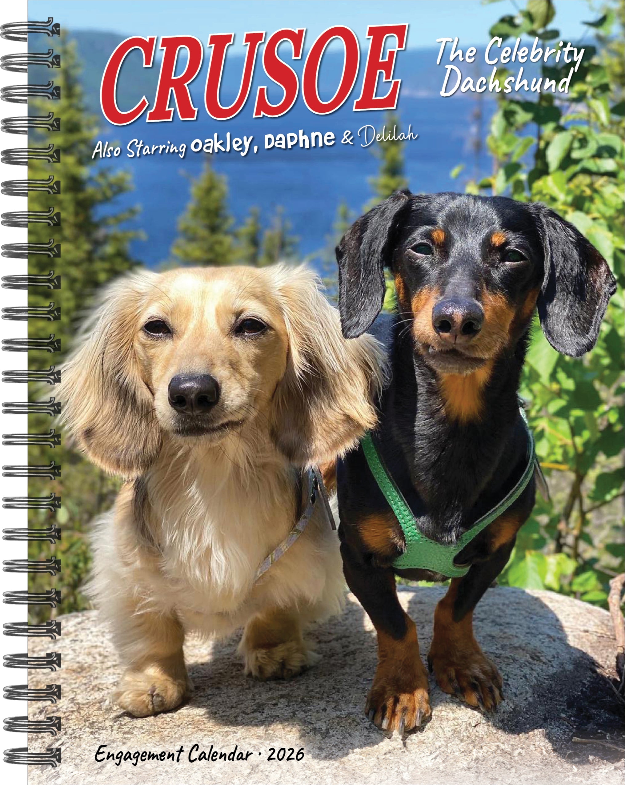 2026 Crusoe the Celebrity Dachshund Weekly Diary/Planner
