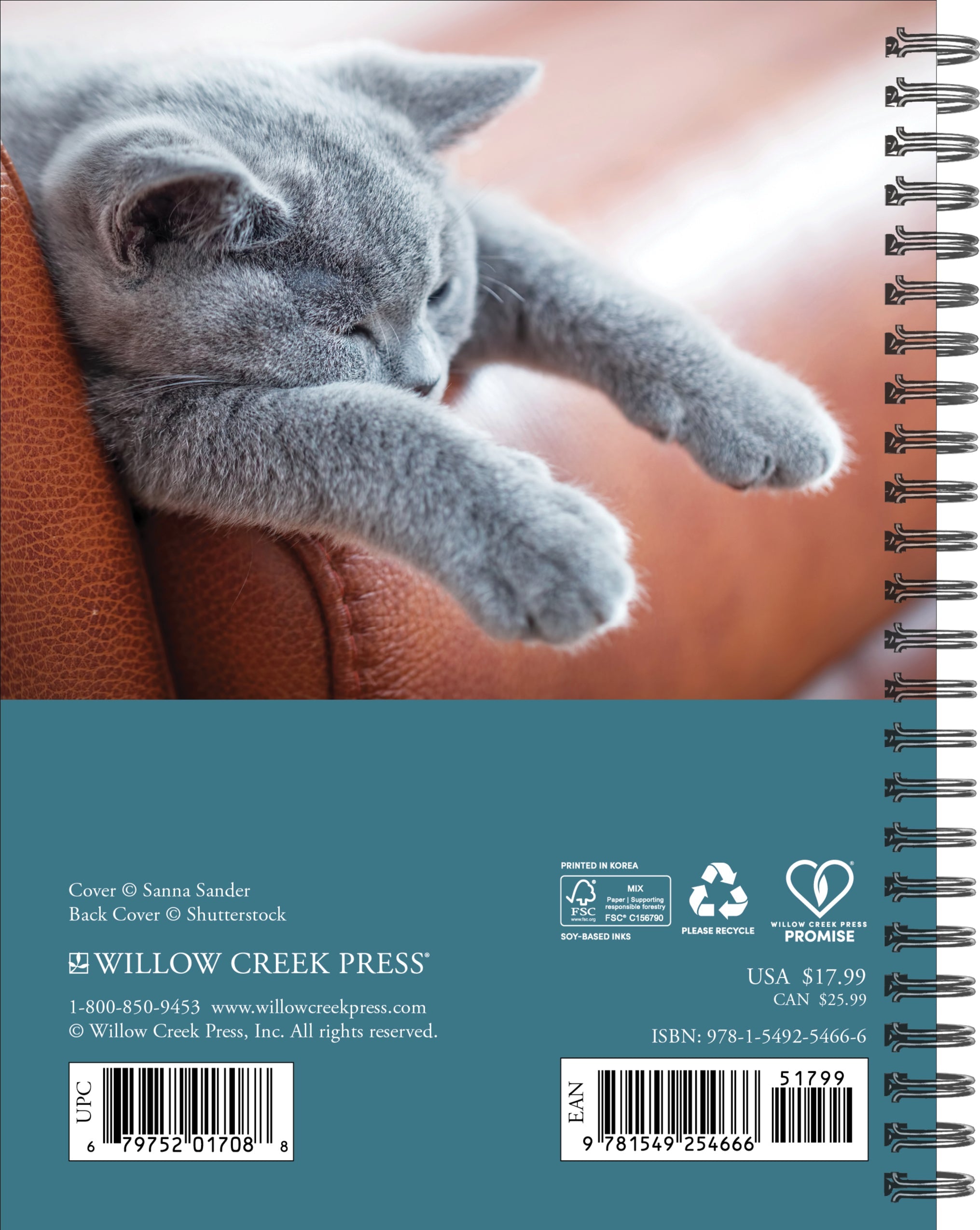2026 What Cats Teach Us - Weekly Diary/Planner
