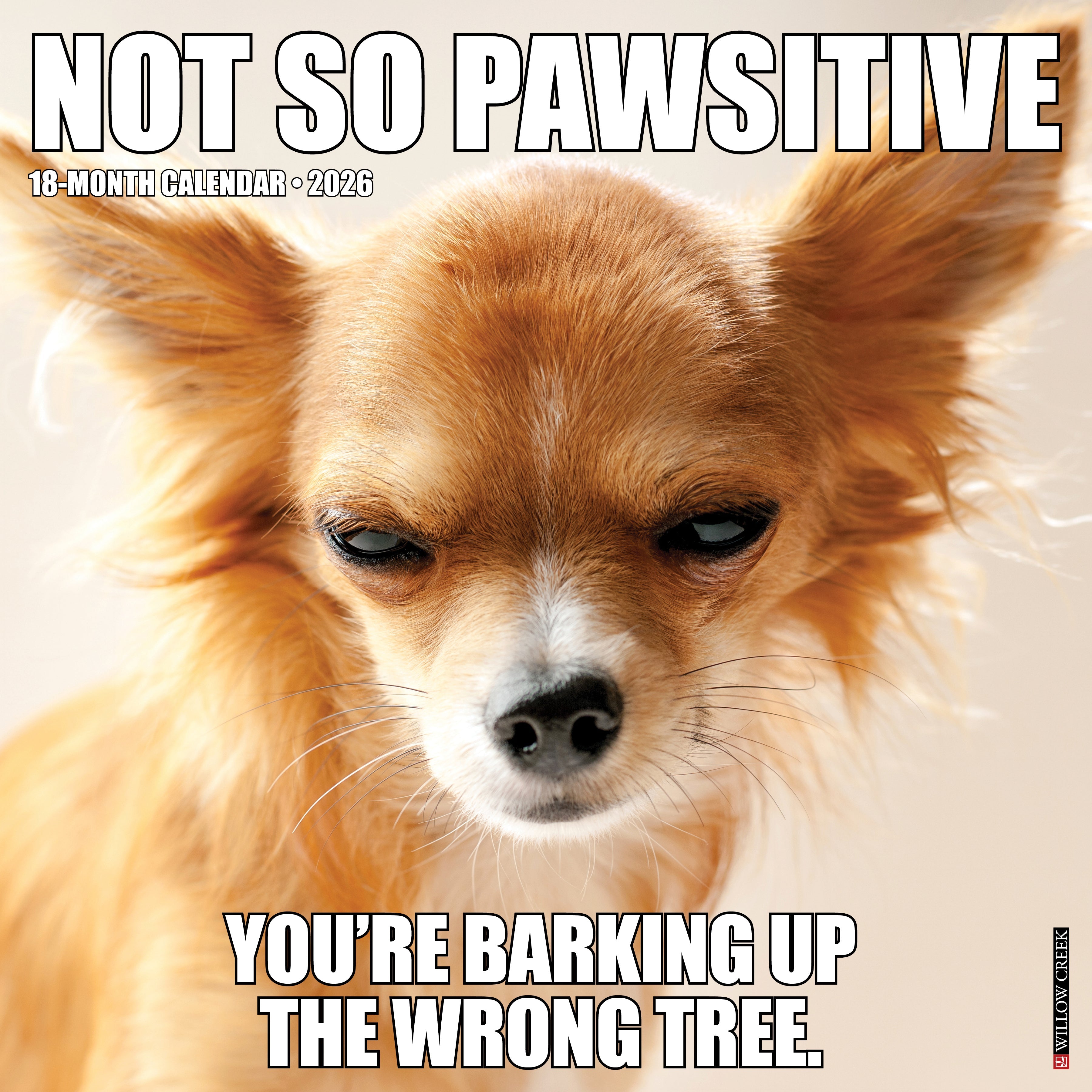 2026 Not So Pawsitive - Square Wall