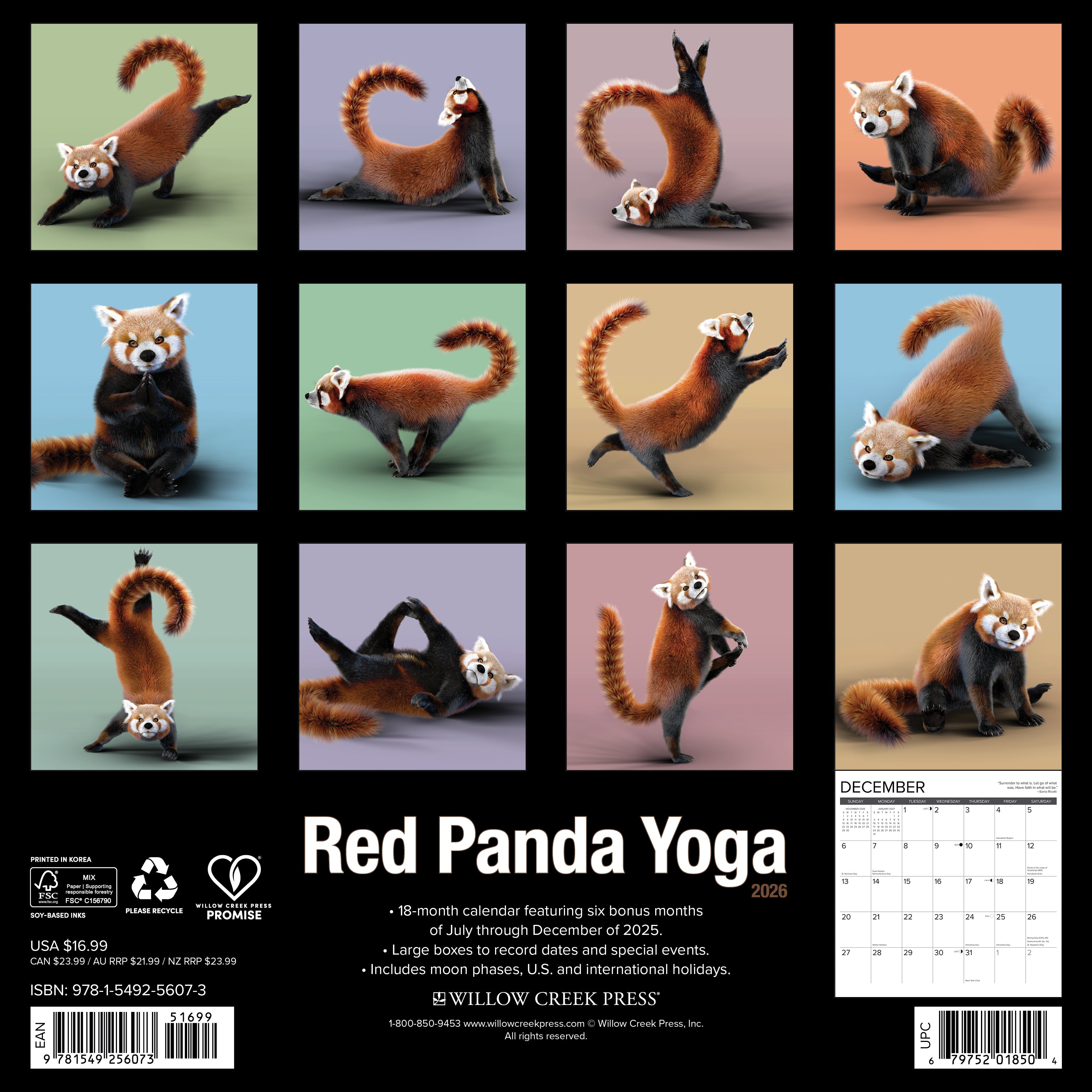 2026 Red Panda Yoga - Square Wall