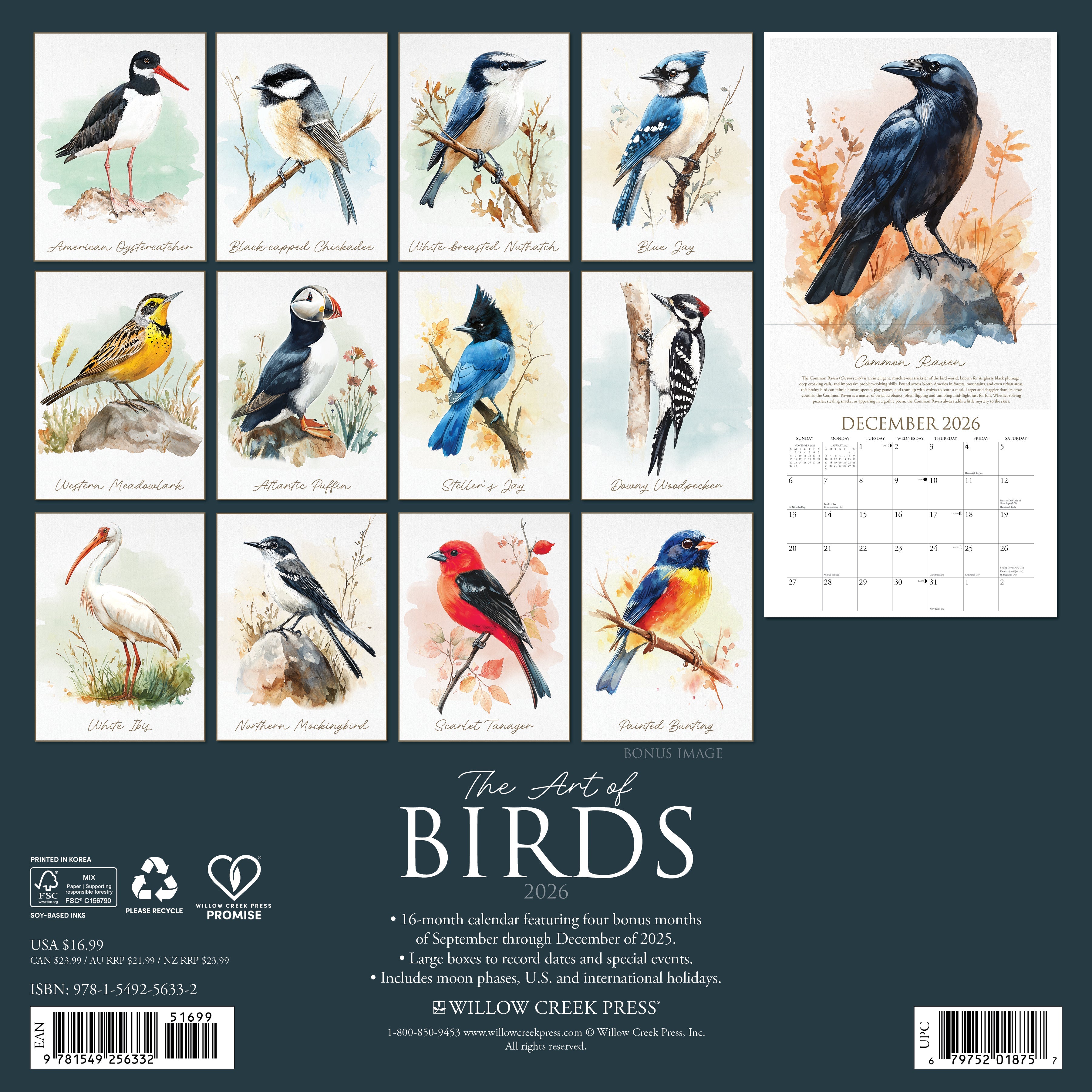 2026 The Art of Birds - Square Wall